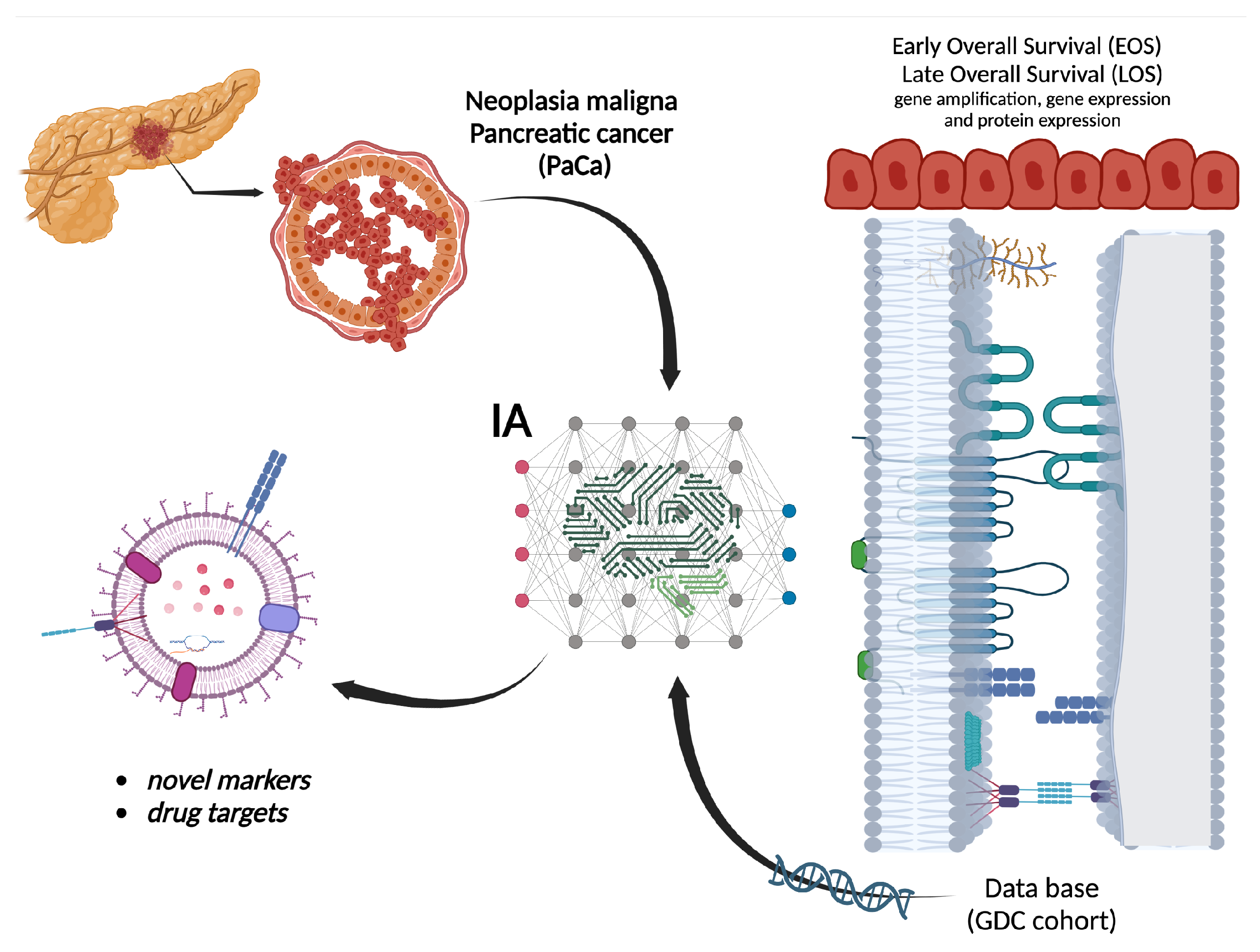Biomedicines 12 00395 g001