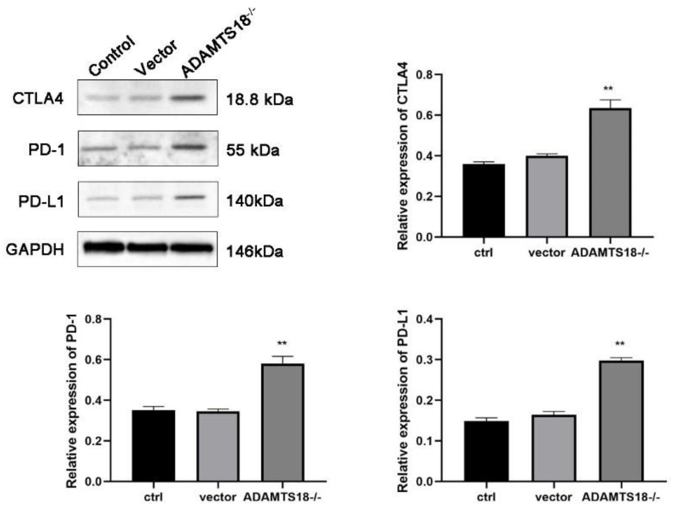 Biomedicines 12 00396 g005 Biomedicines 12 00396 g005