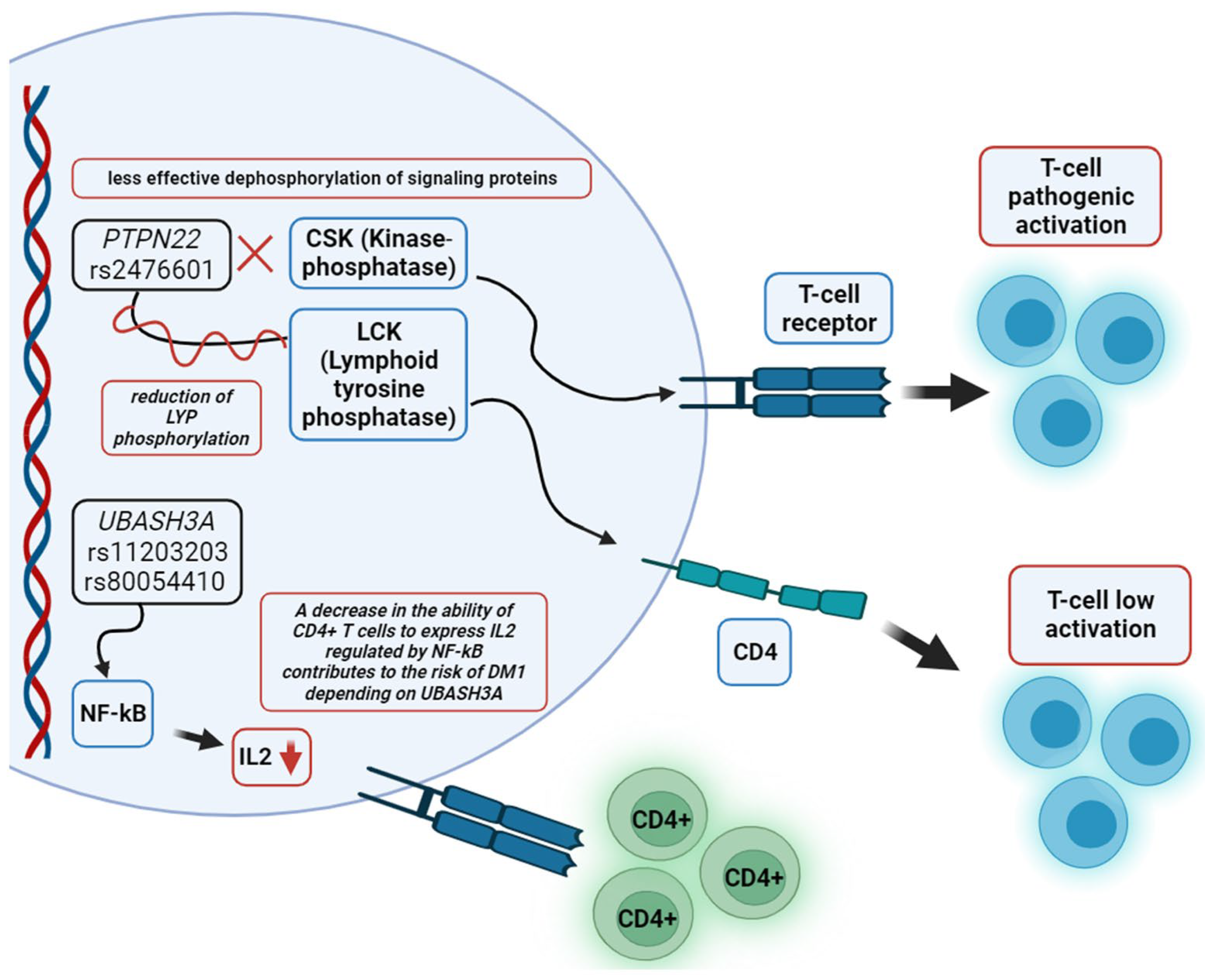 Biomedicines 12 00399 g003 Biomedicines 12 00399 g003
