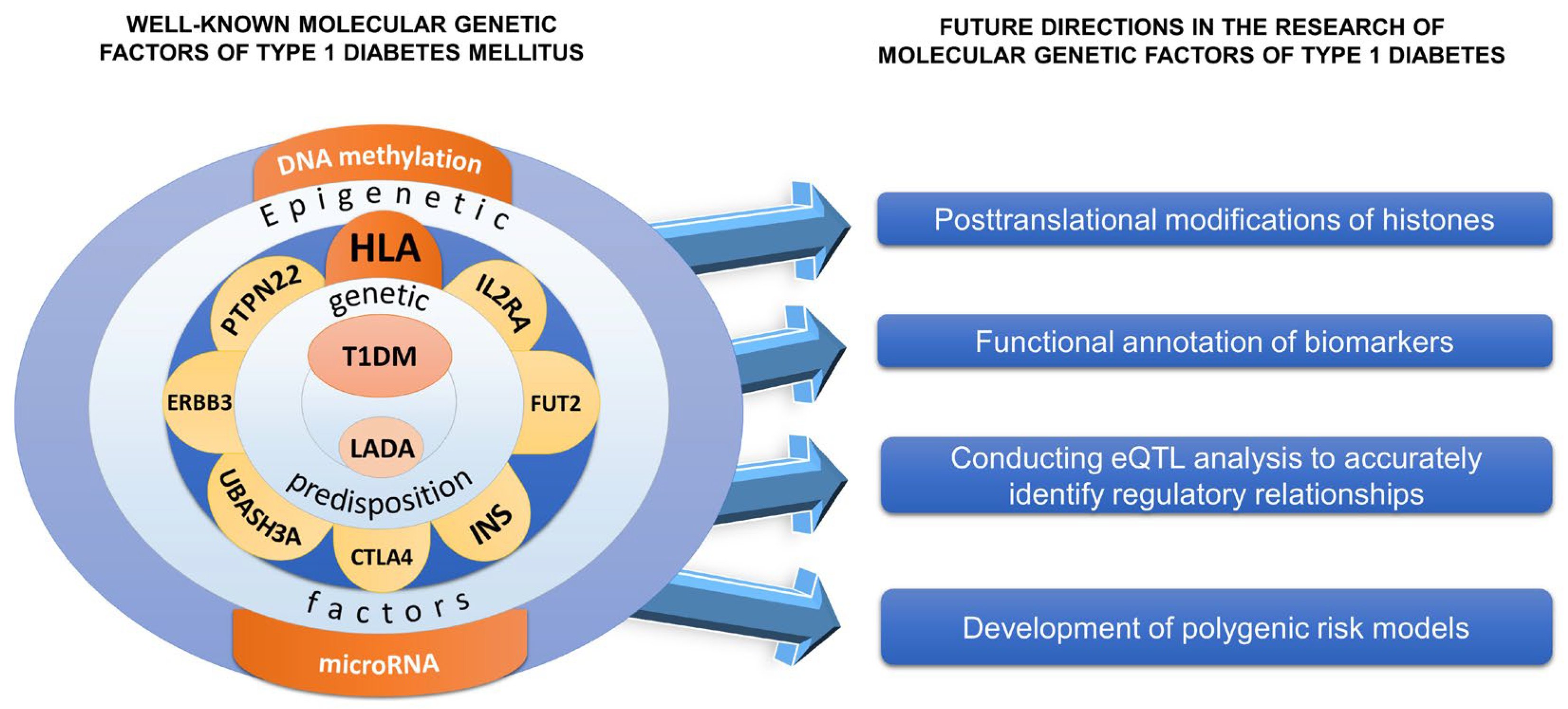 Biomedicines 12 00399 g004 Biomedicines 12 00399 g004