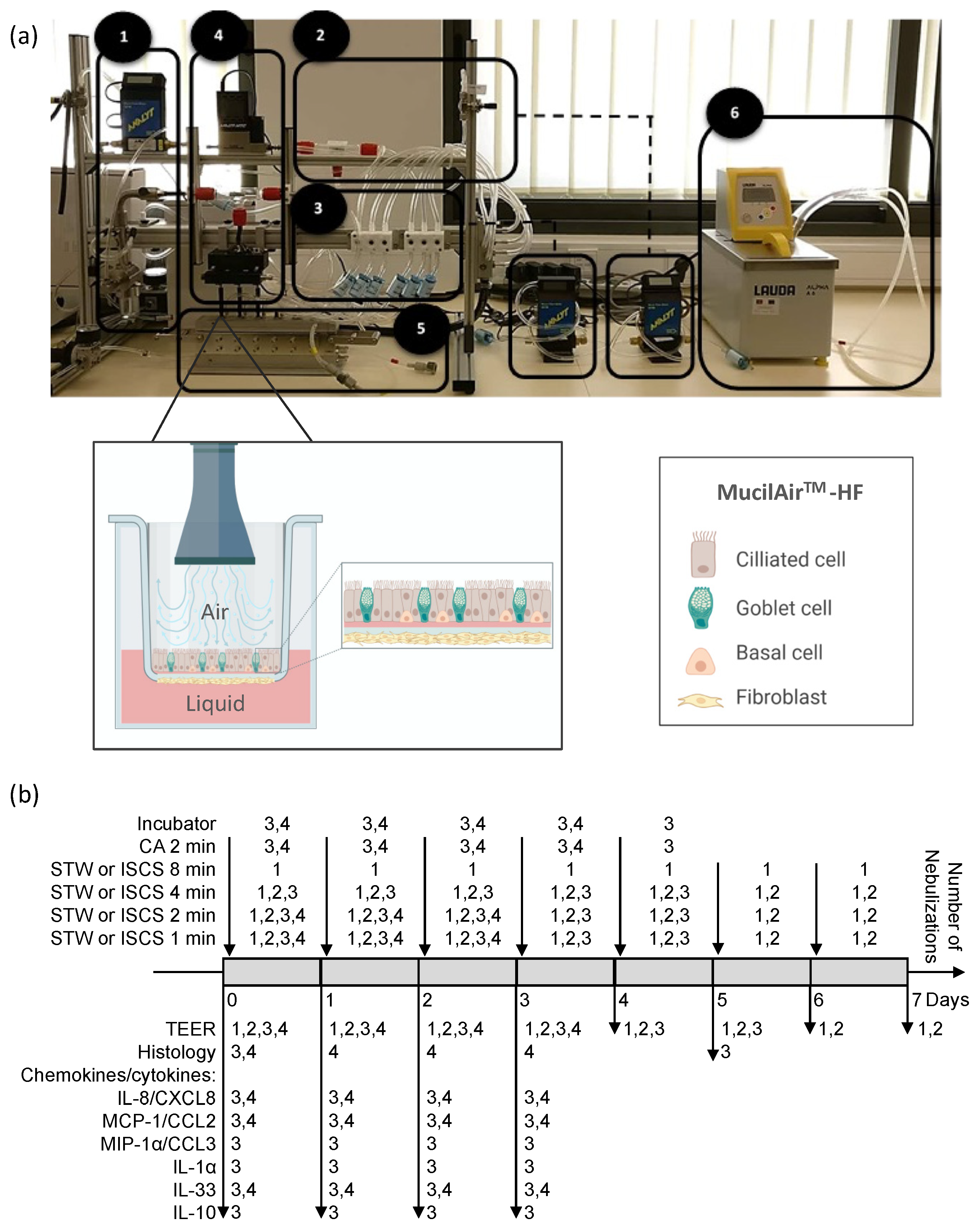 Biomedicines 12 00408 g001 Biomedicines 12 00408 g001
