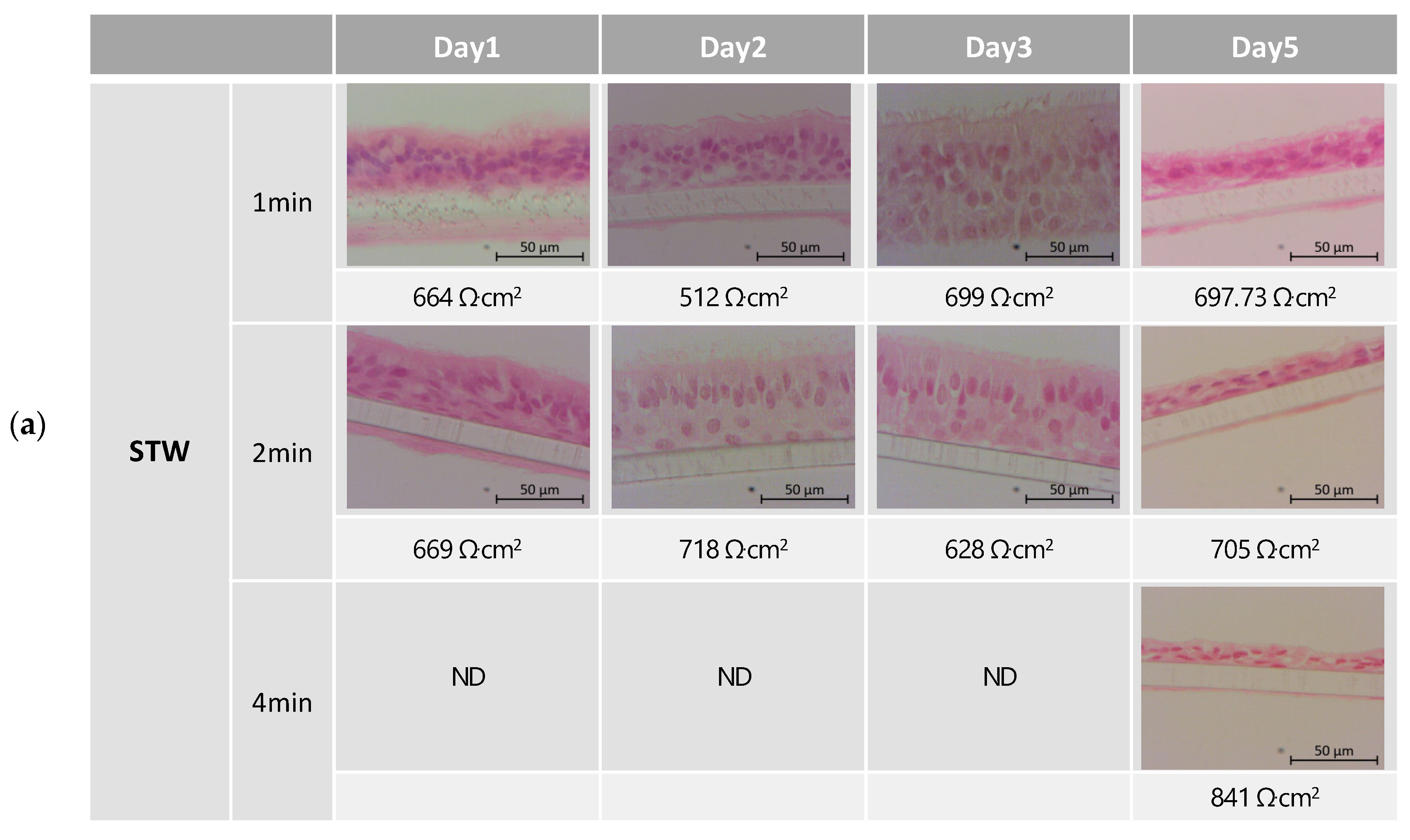 Biomedicines 12 00408 g003a Biomedicines 12 00408 g003a