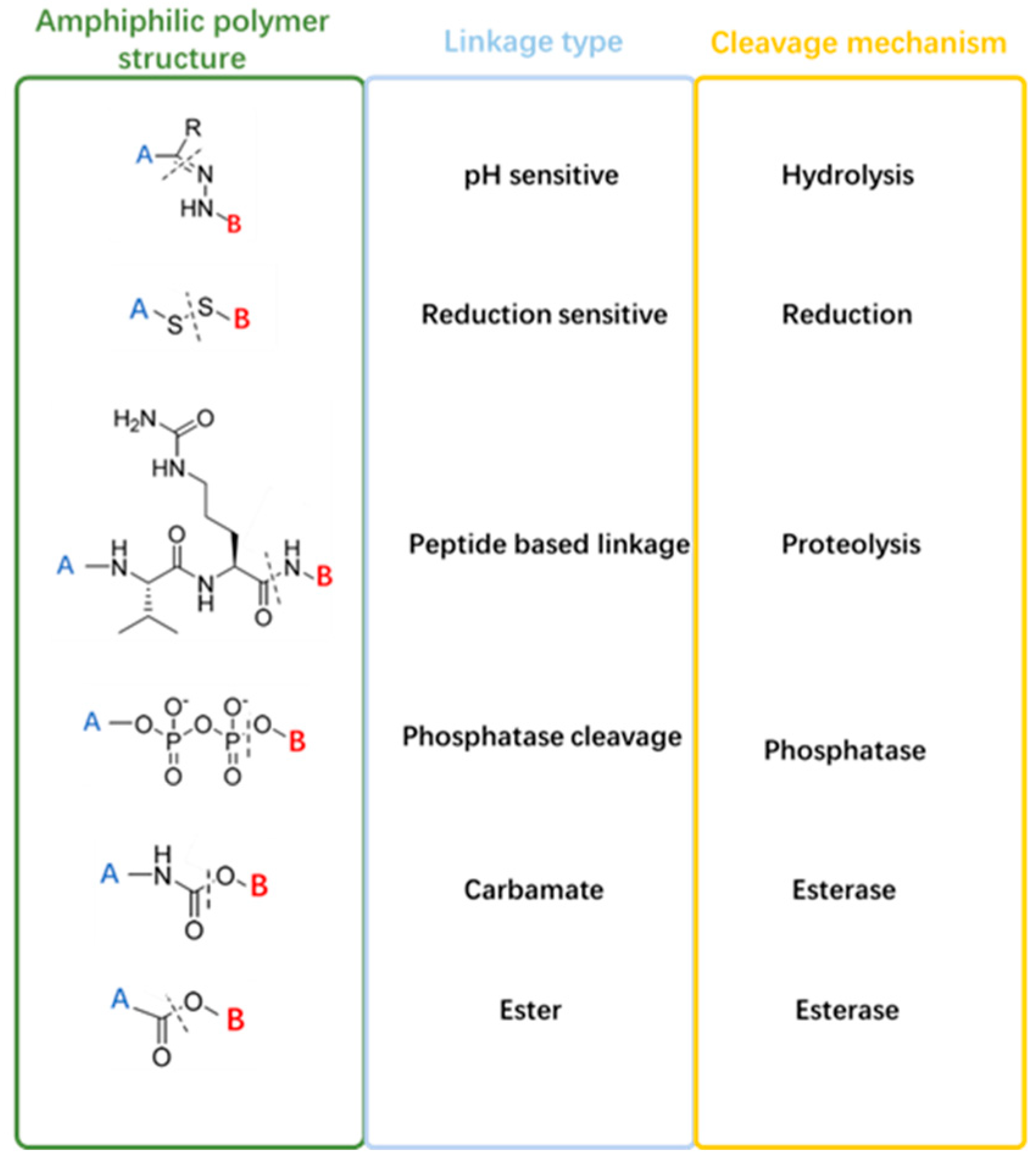 Biomedicines 12 00417 g002