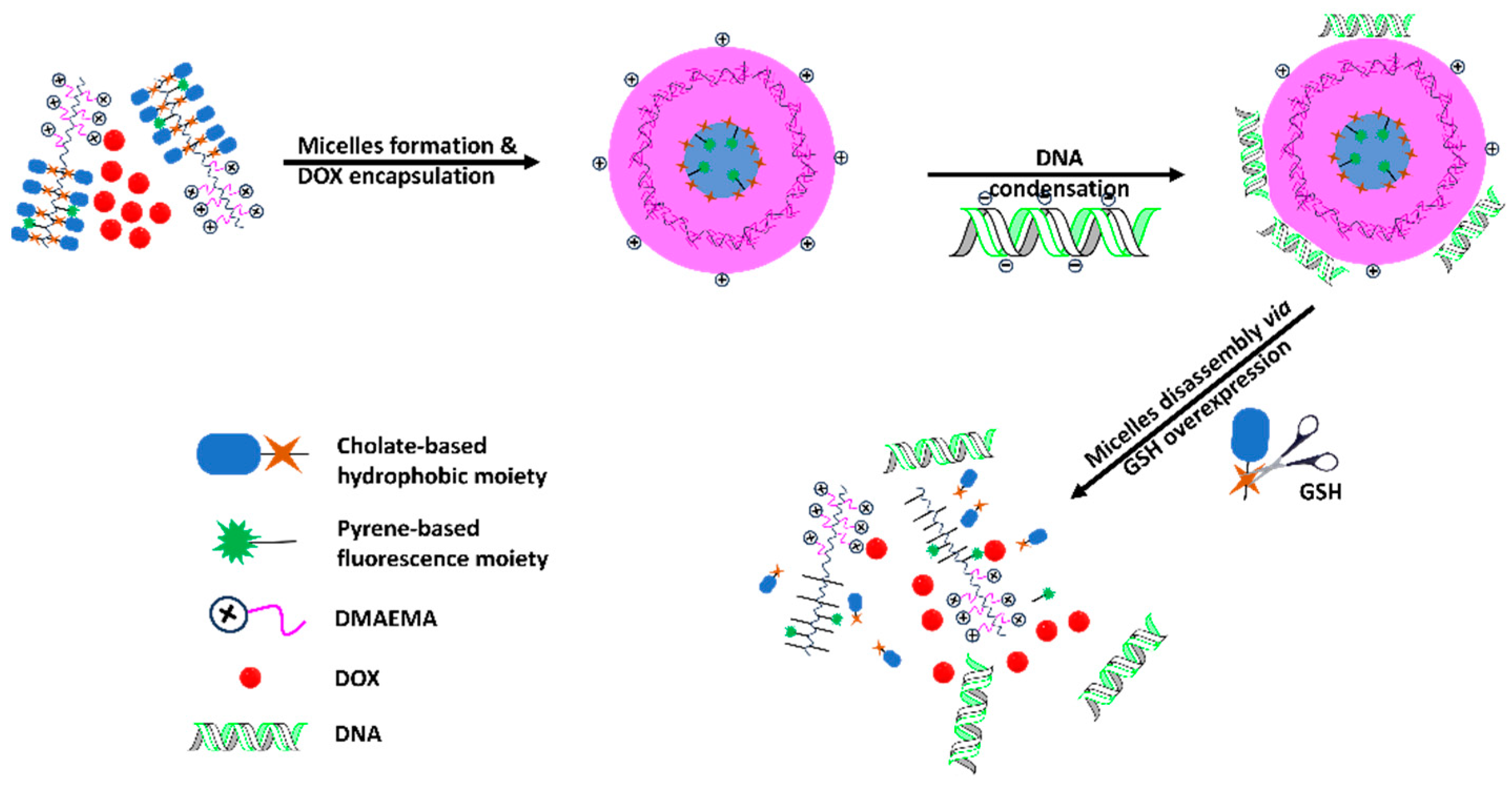Biomedicines 12 00417 g005
