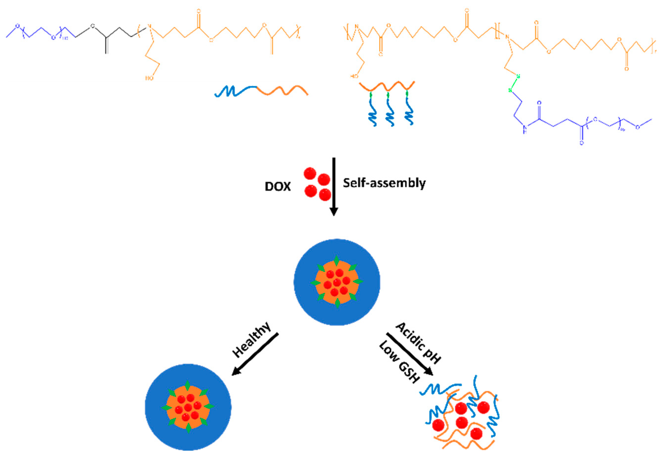 Biomedicines 12 00417 g007