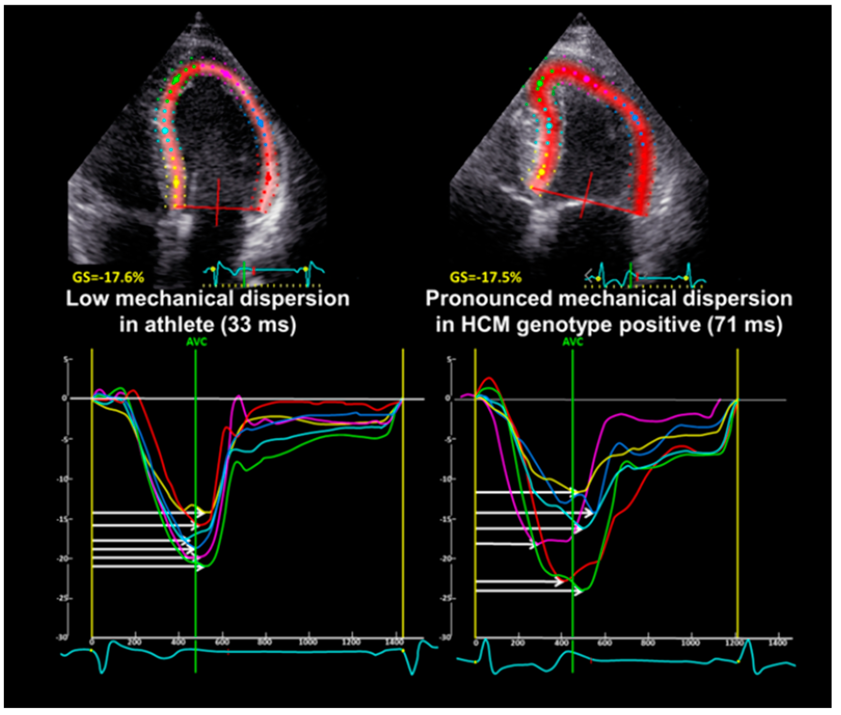 Biomedicines 12 00420 g001