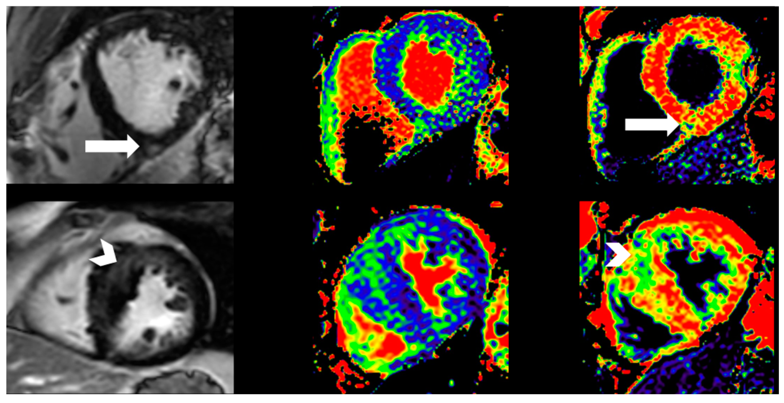 Biomedicines 12 00420 g002