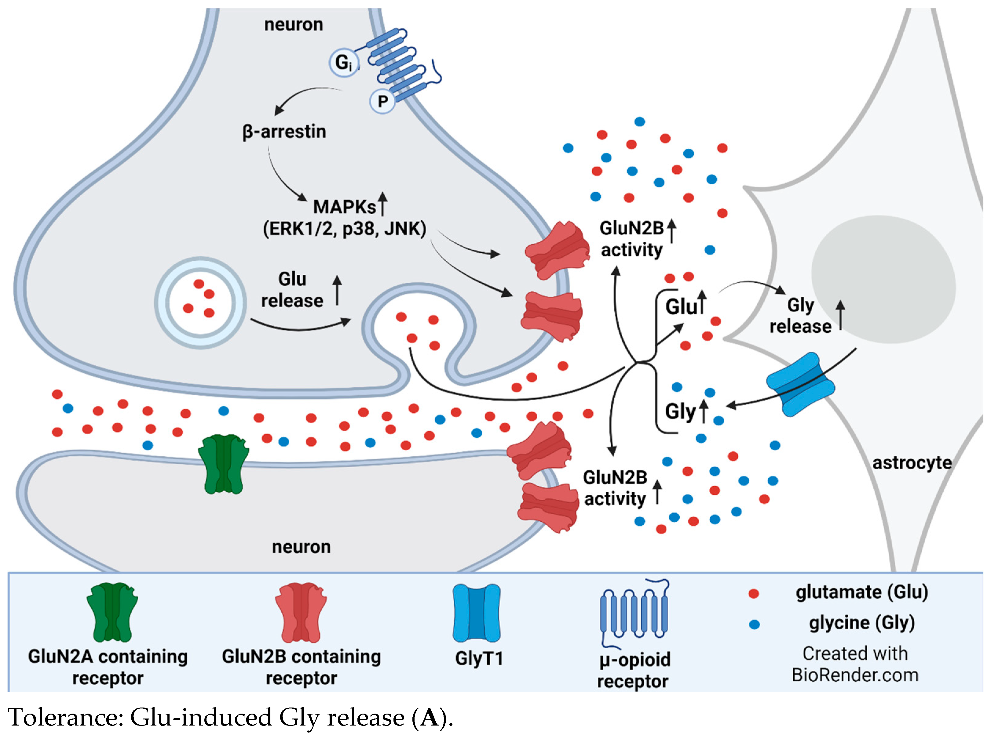 Biomedicines 12 00421 g005a