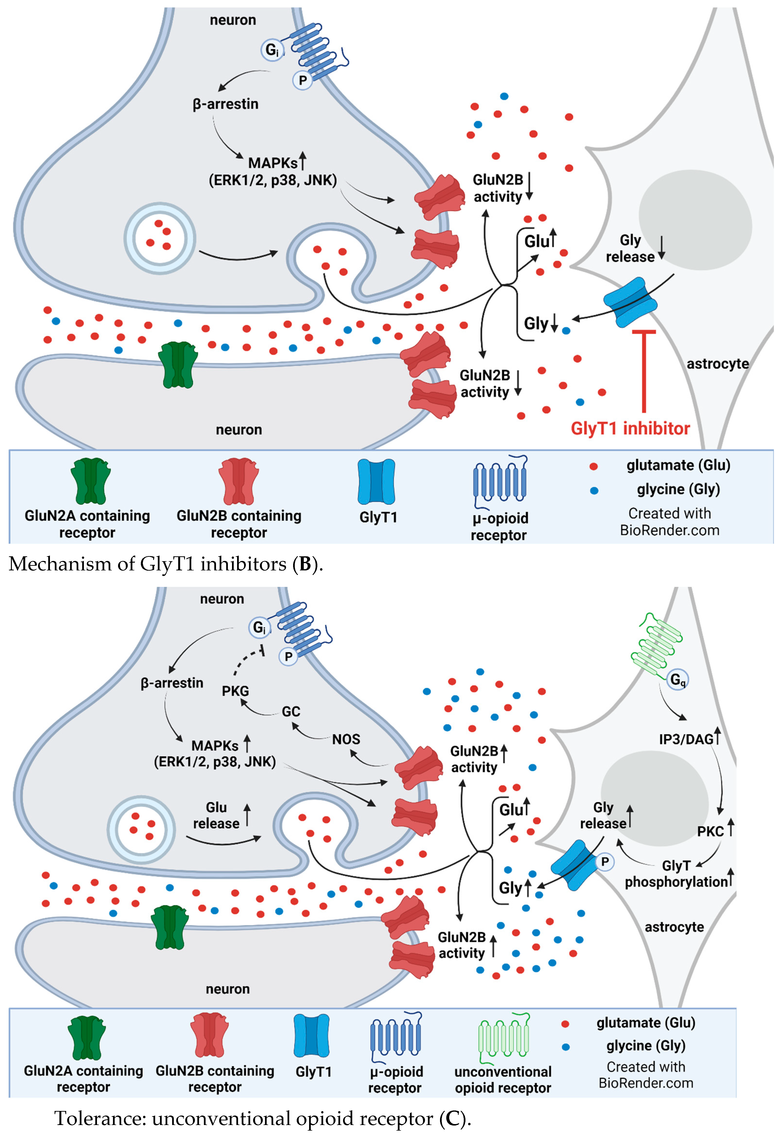 Biomedicines 12 00421 g005b