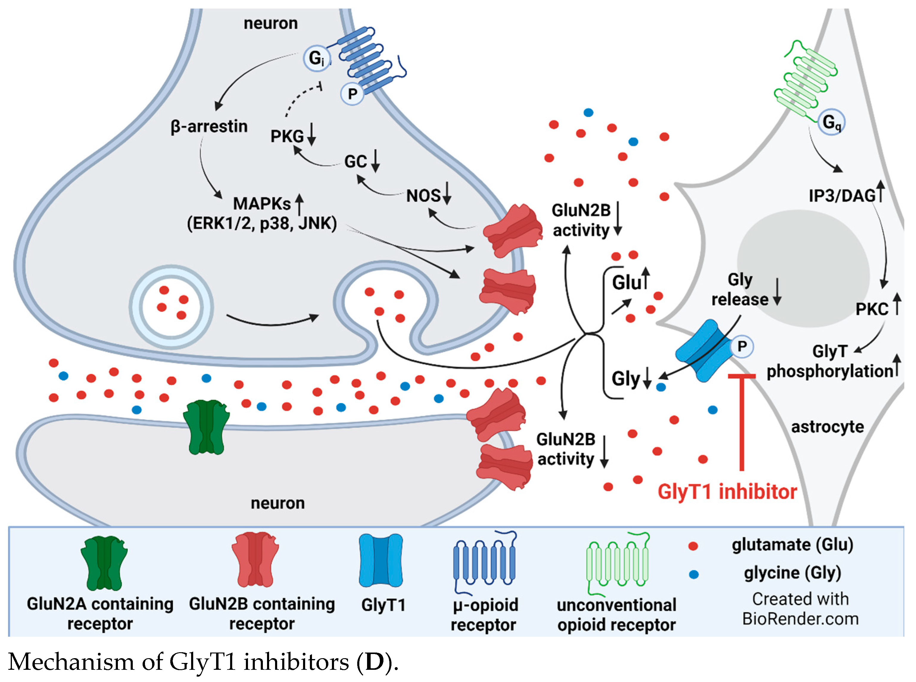 Biomedicines 12 00421 g005c