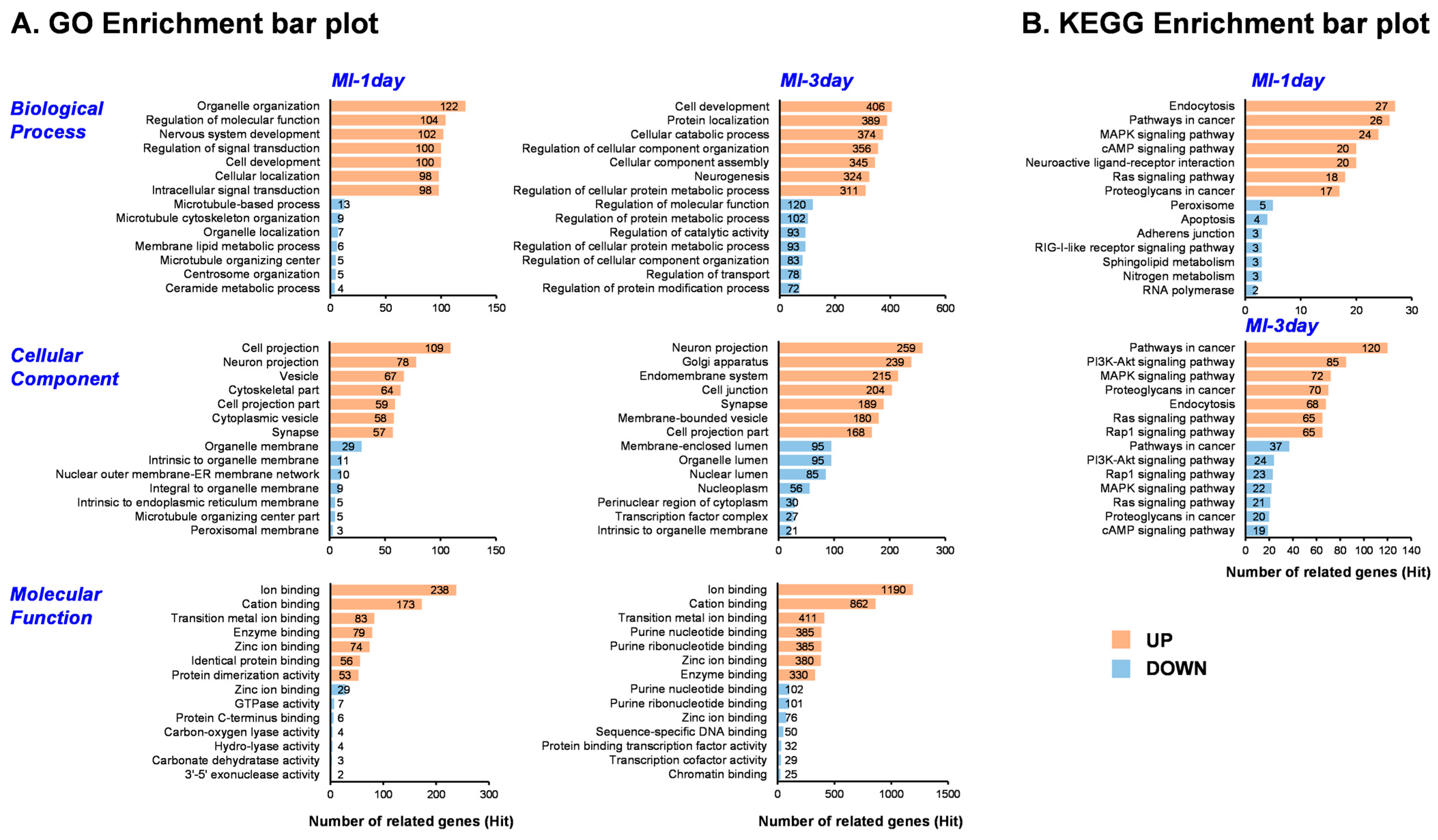 Biomedicines 12 00430 g004 Biomedicines 12 00430 g004