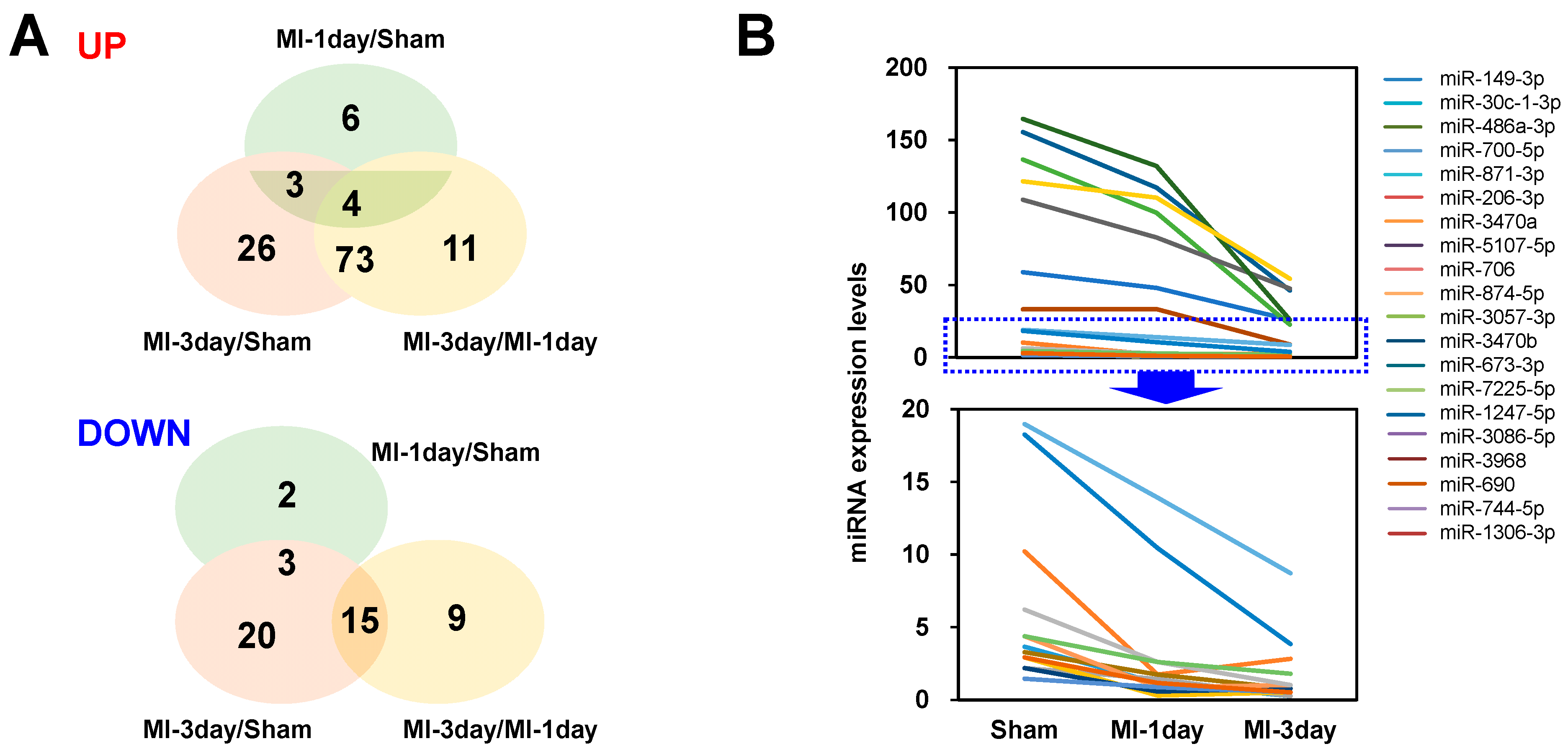 Biomedicines 12 00430 g005 Biomedicines 12 00430 g005