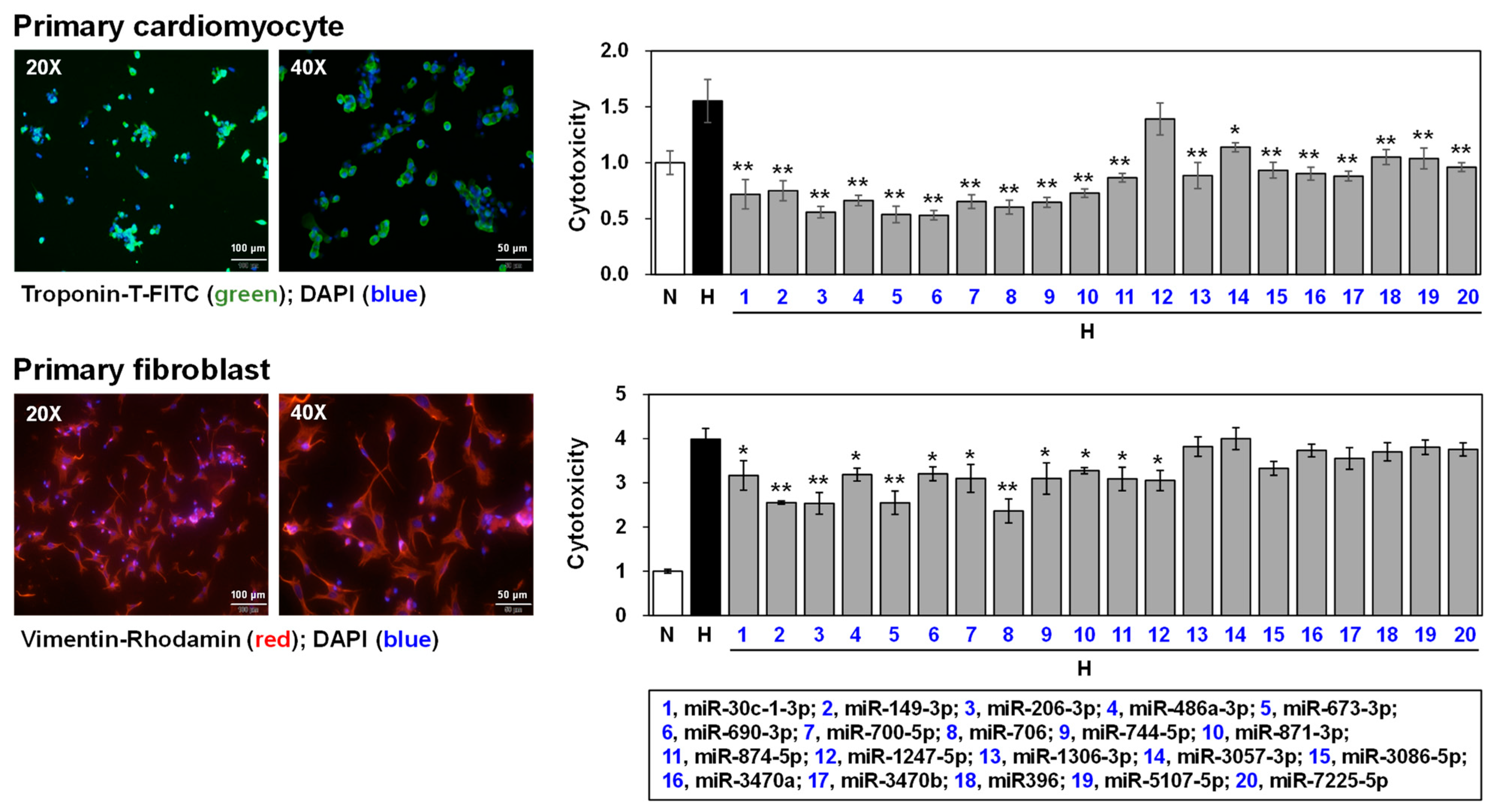 Biomedicines 12 00430 g006 Biomedicines 12 00430 g006