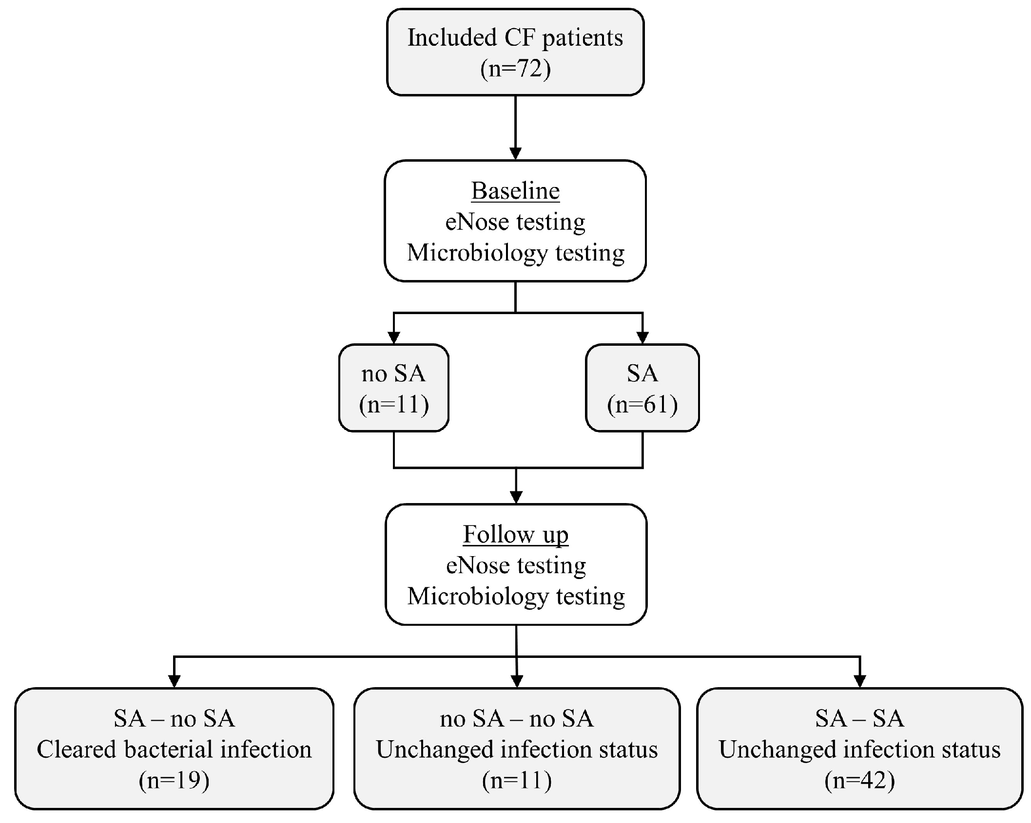 Biomedicines 12 00431 g001 Biomedicines 12 00431 g001