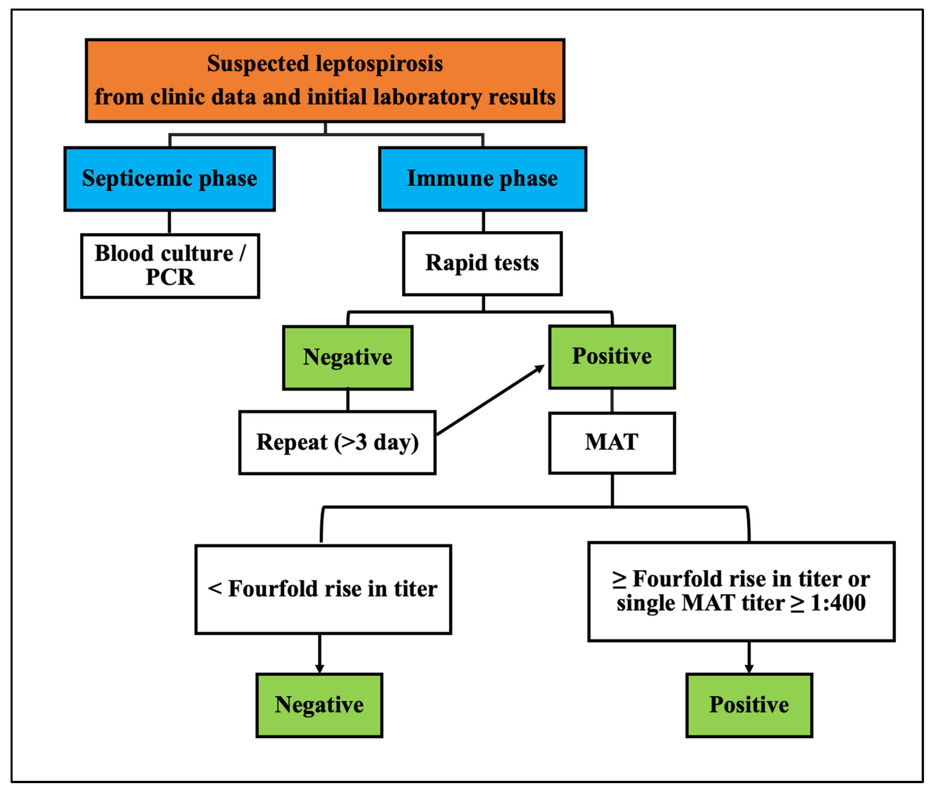Biomedicines 12 00435 g001