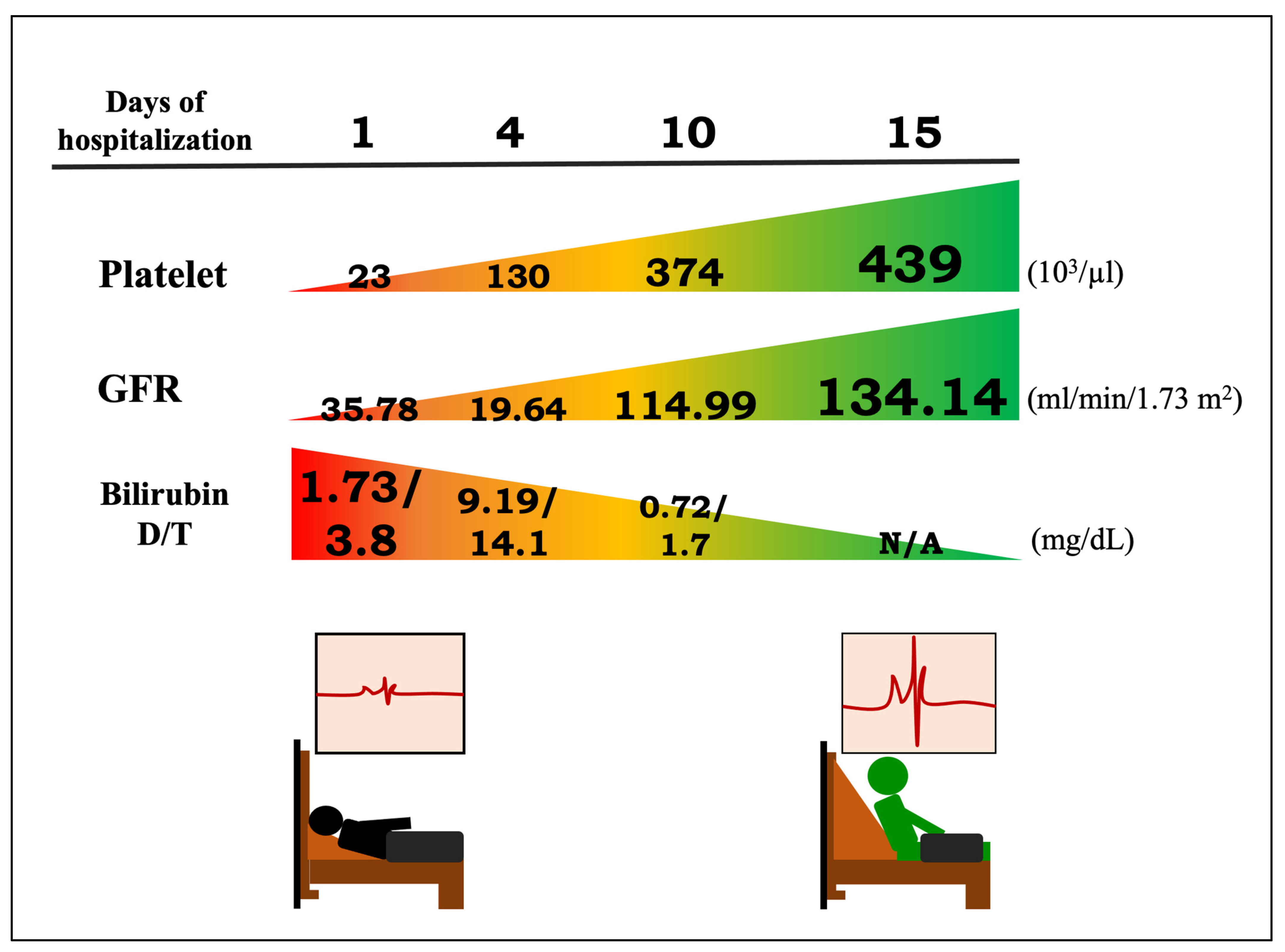 Biomedicines 12 00435 g002