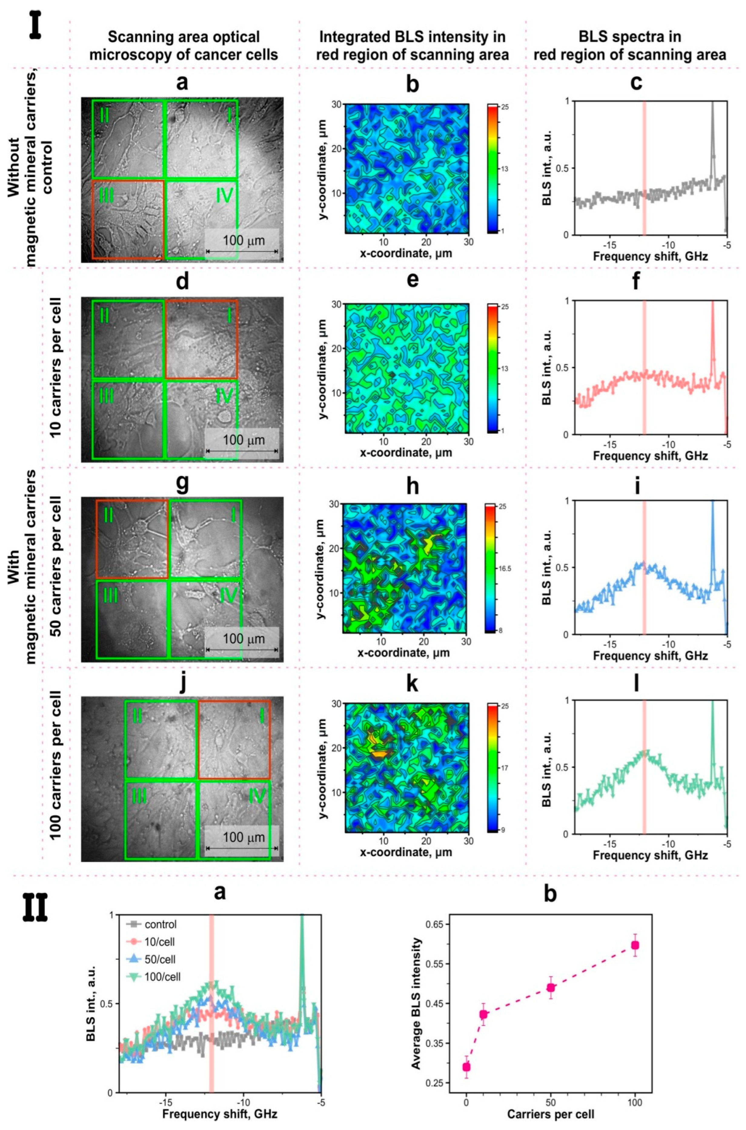 Biomedicines 12 00443 g003