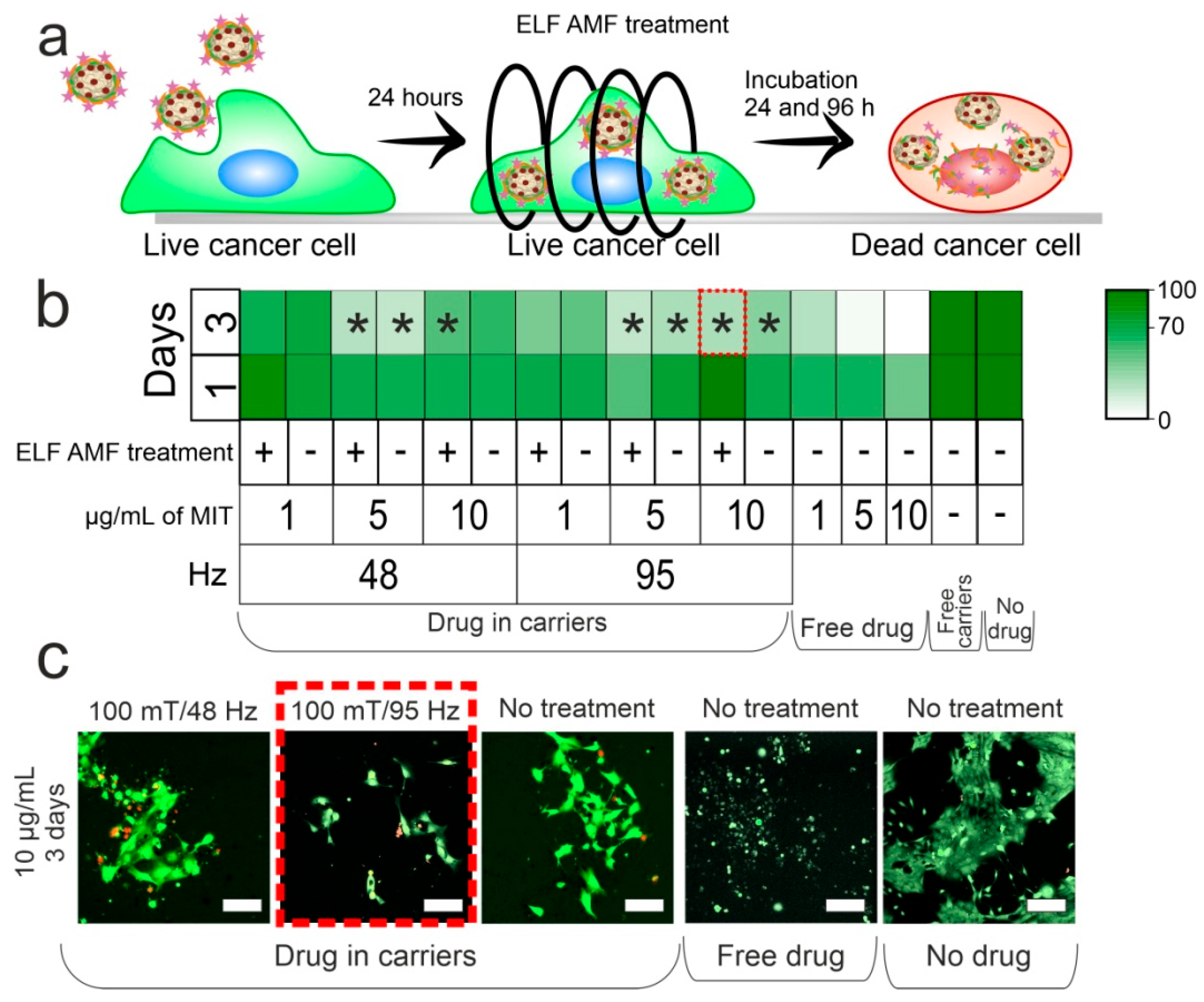 Biomedicines 12 00443 g004