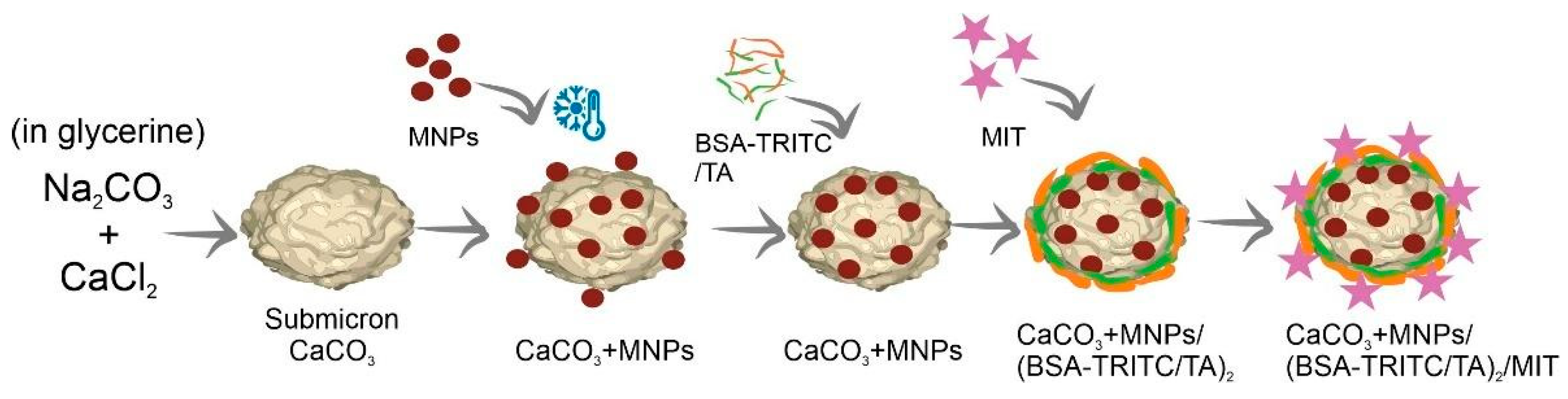 Biomedicines 12 00443 sch001