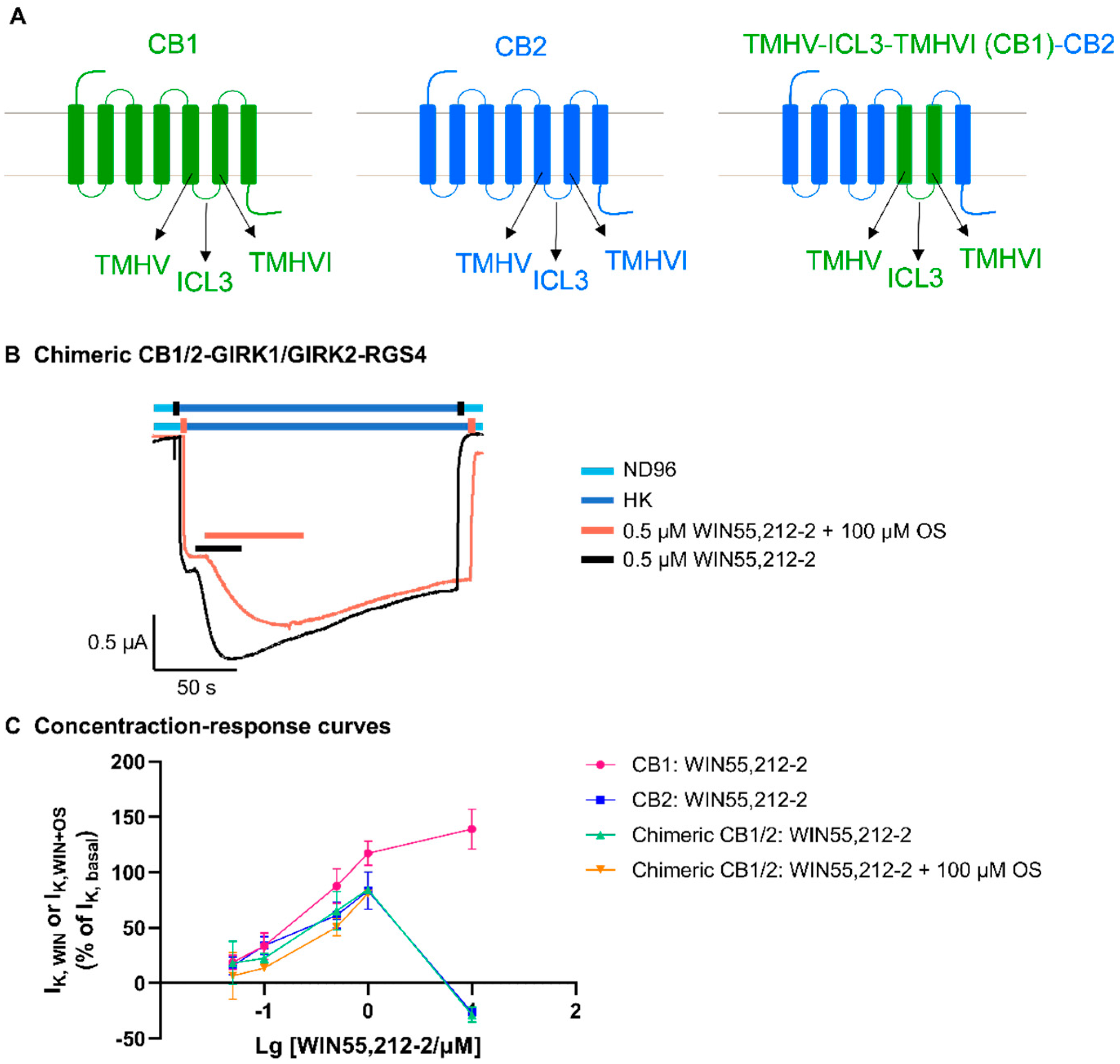 Biomedicines 12 00454 g002