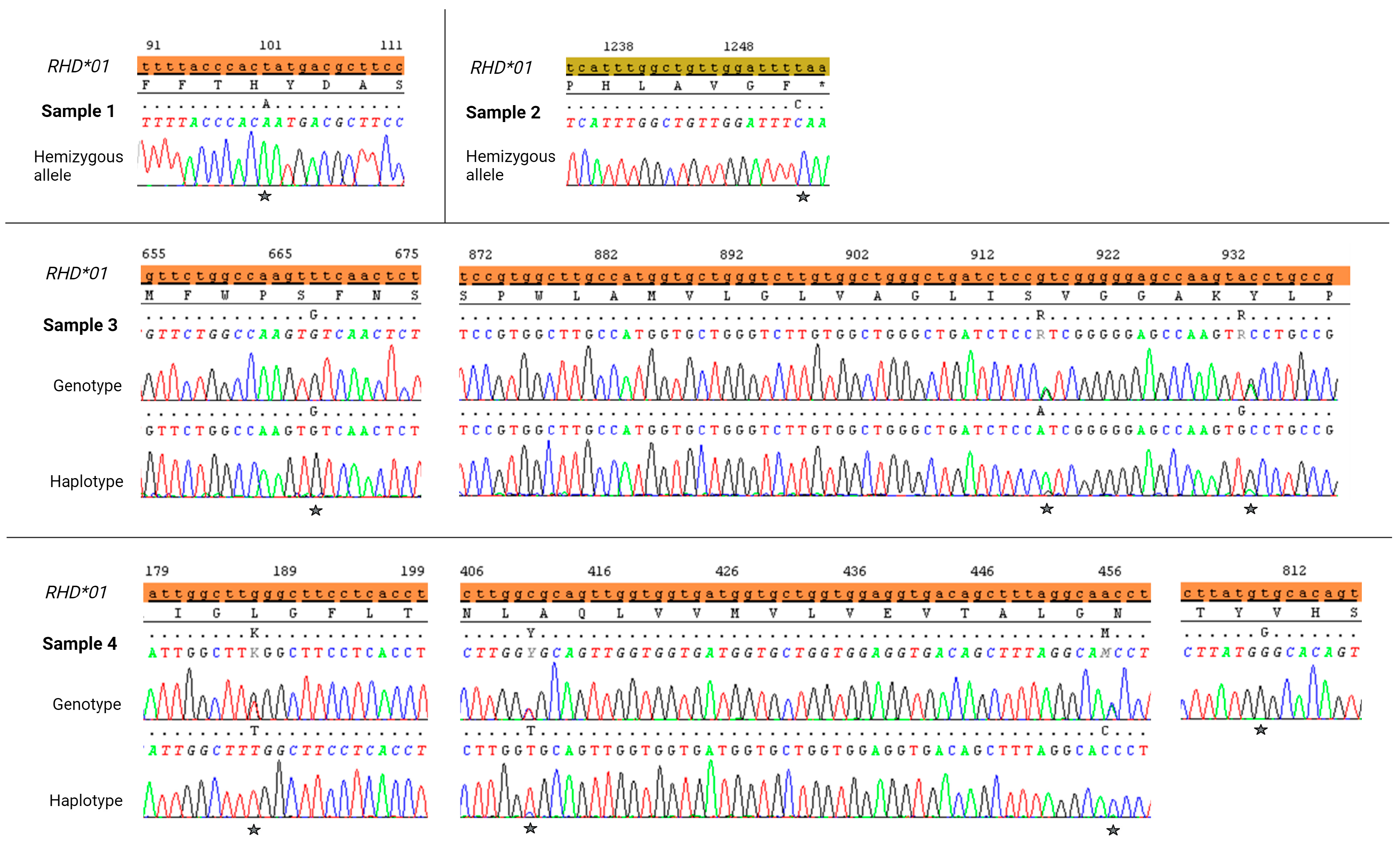 Biomedicines 12 00456 g002