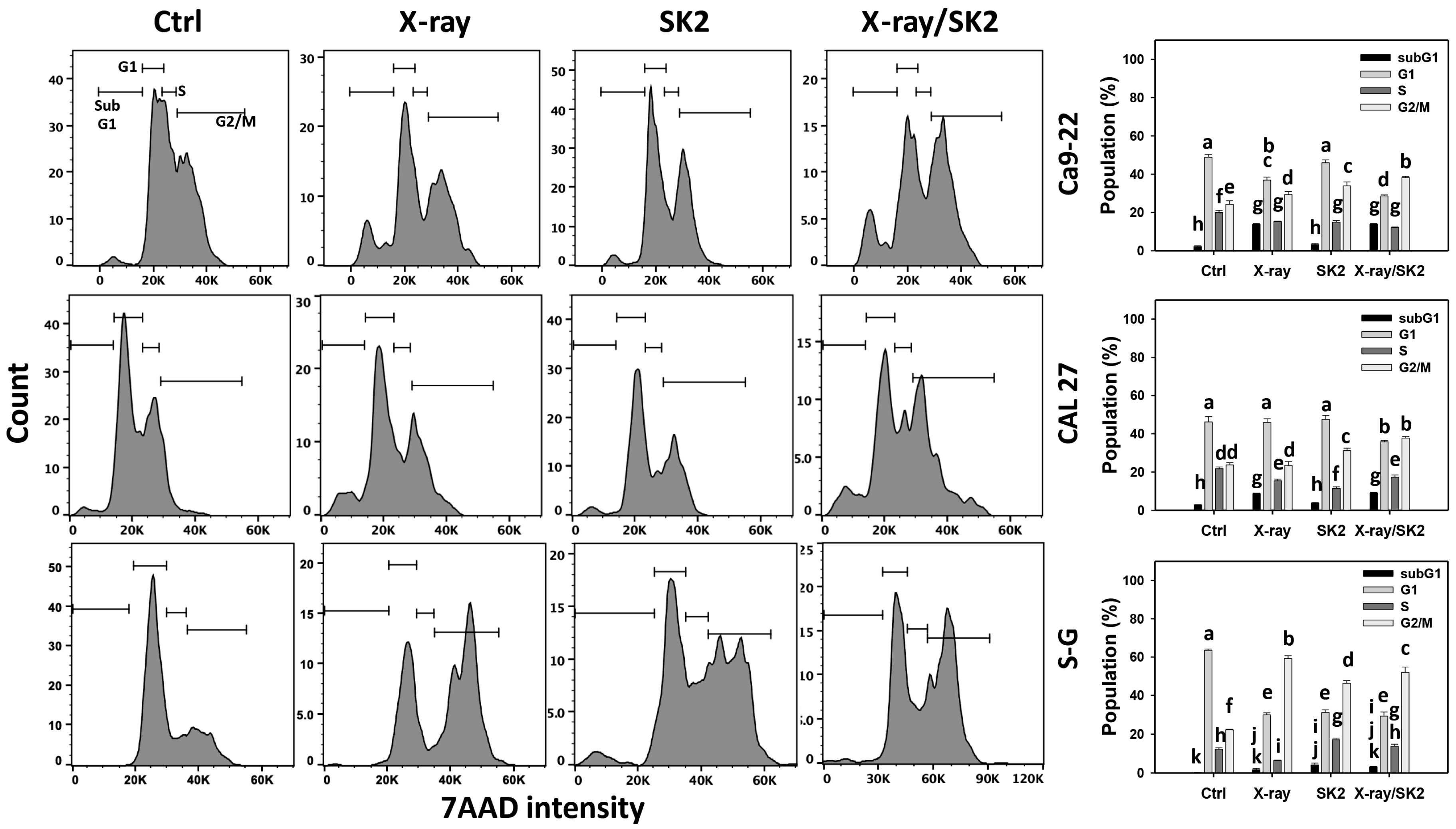 Biomedicines 12 00458 g002