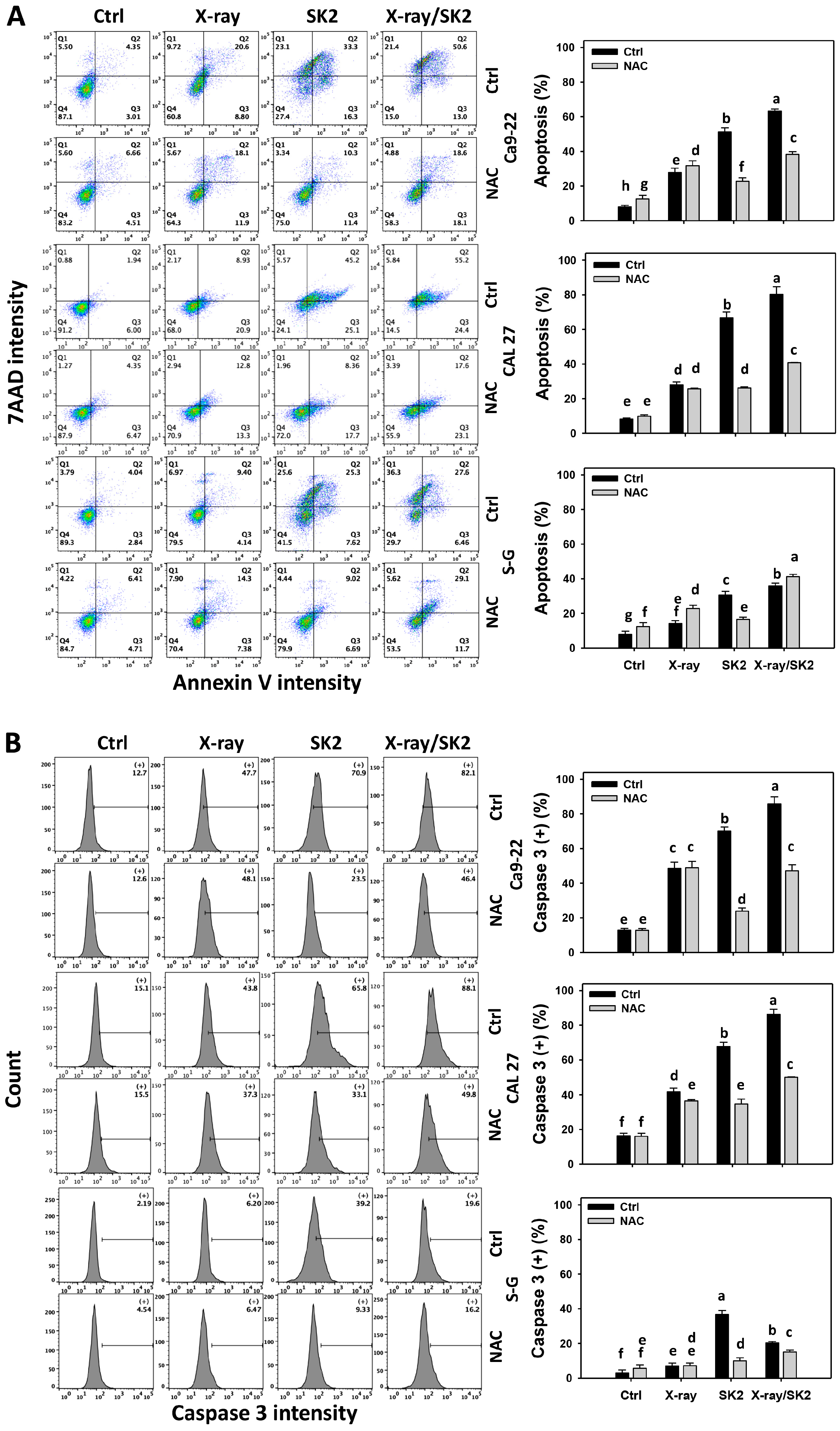 Biomedicines 12 00458 g003
