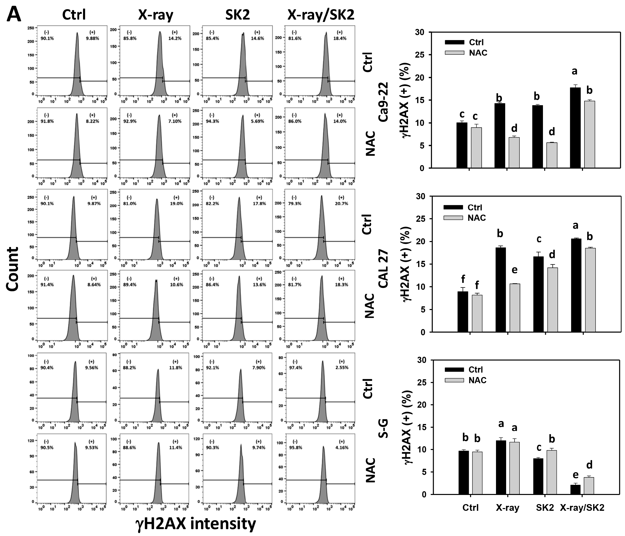 Biomedicines 12 00458 g007a