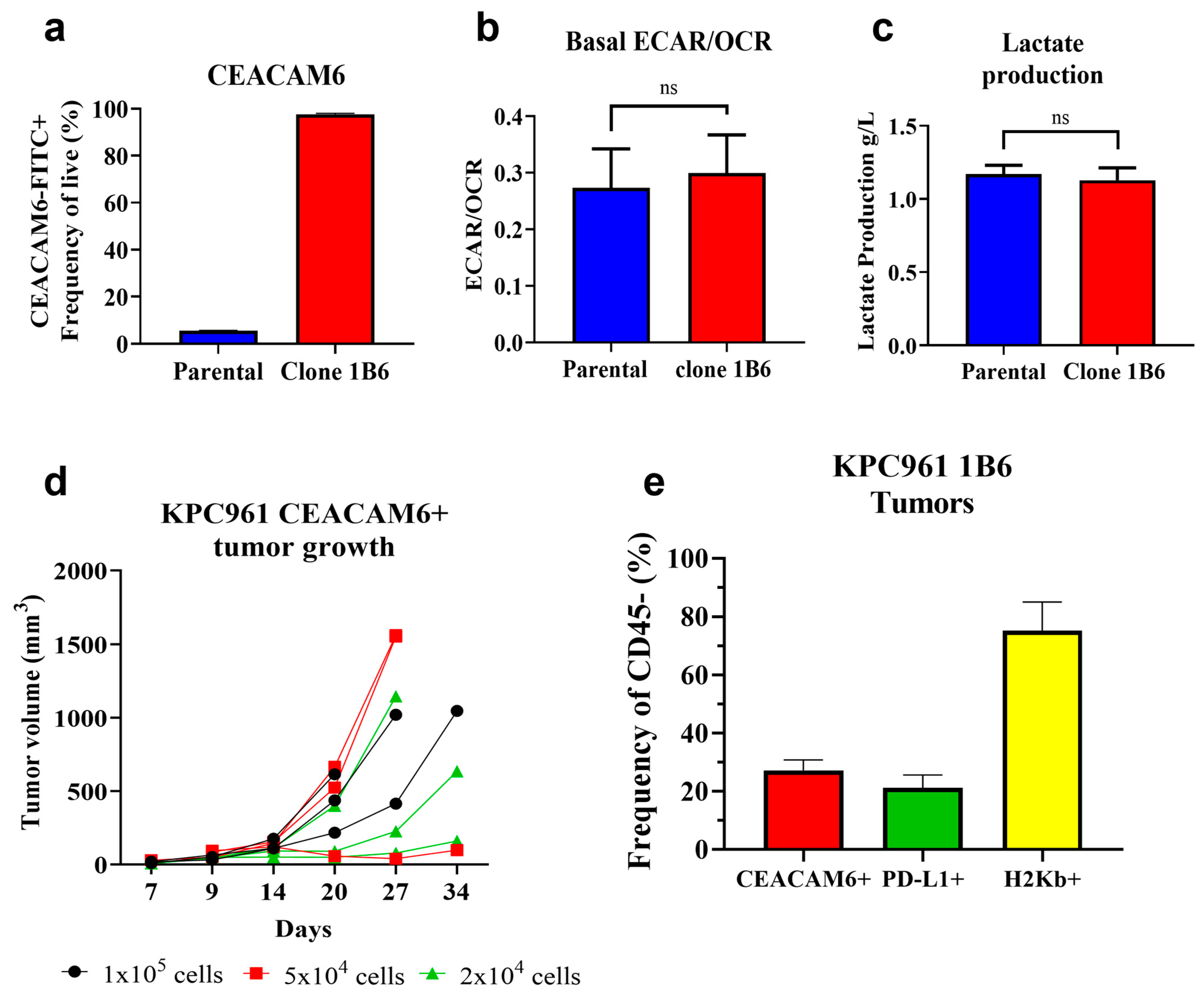 Biomedicines 12 00461 g001