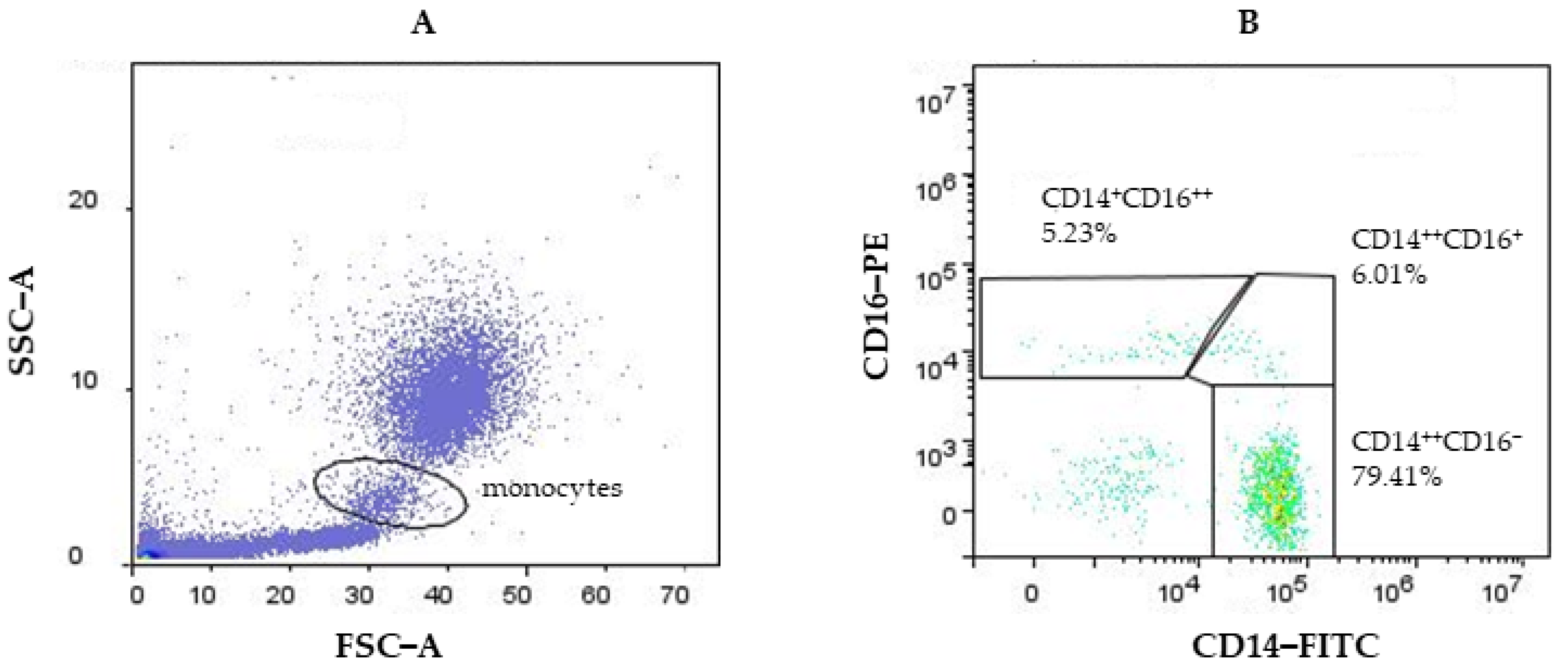 Biomedicines 12 00464 g002