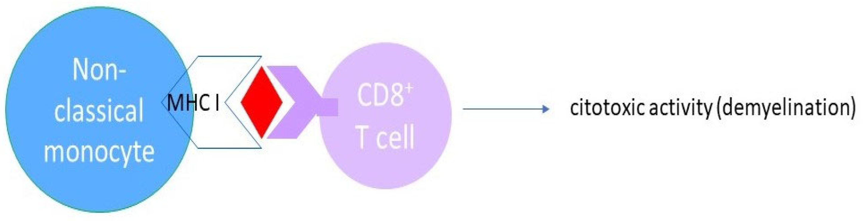 Biomedicines 12 00464 g005