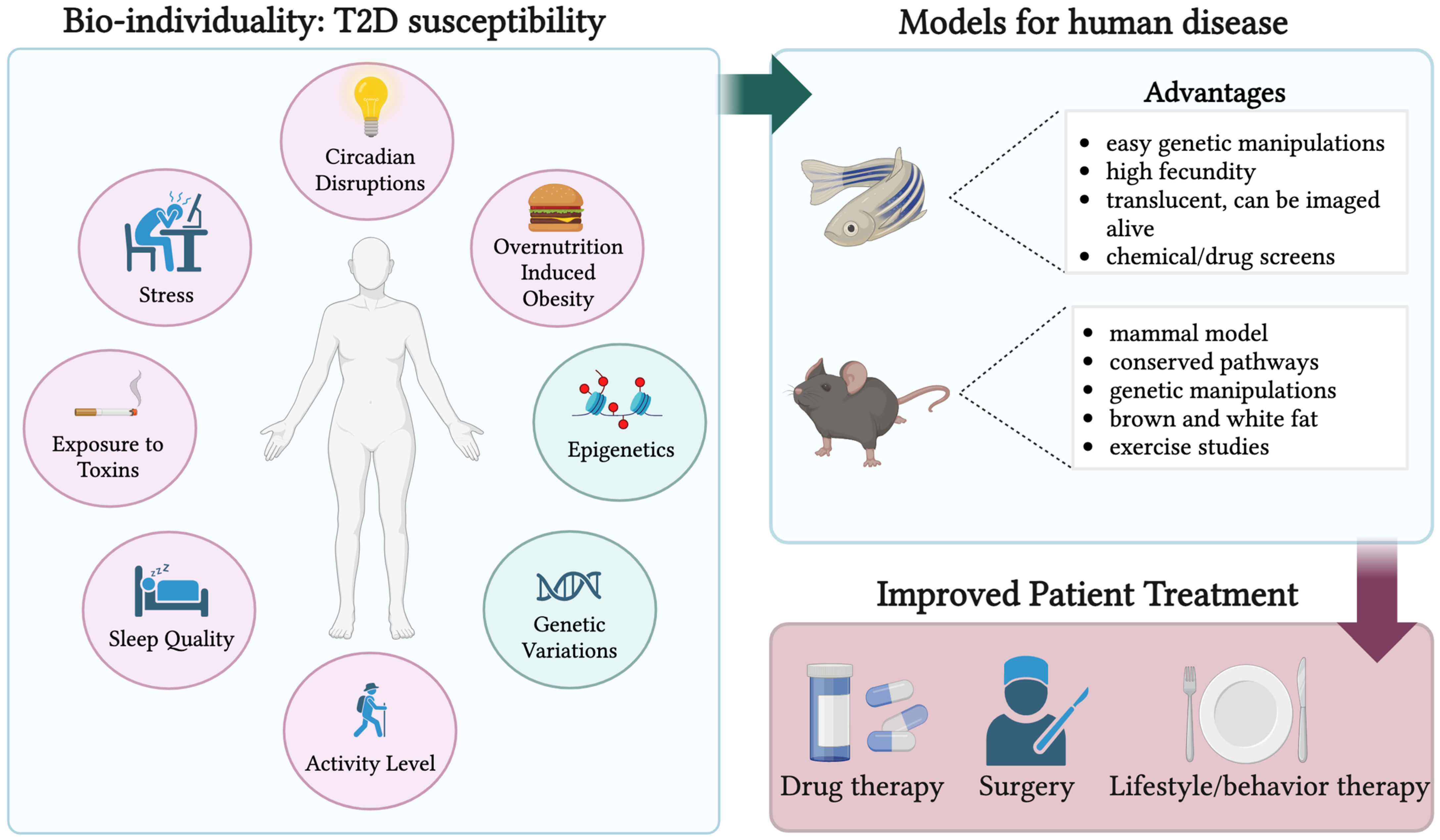 Biomedicines 12 00473 g001