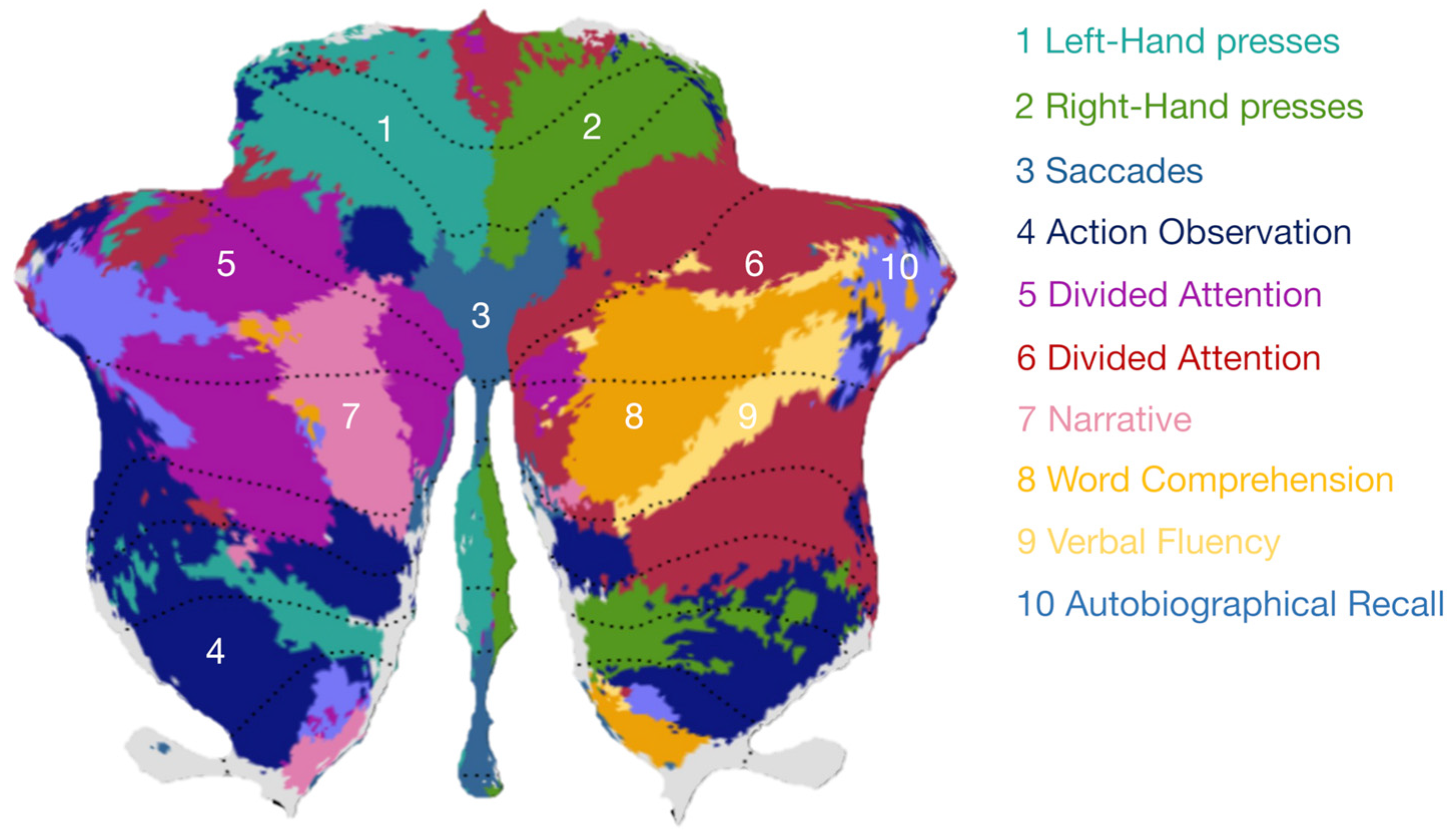 Biomedicines 12 00480 g001 Biomedicines 12 00480 g001