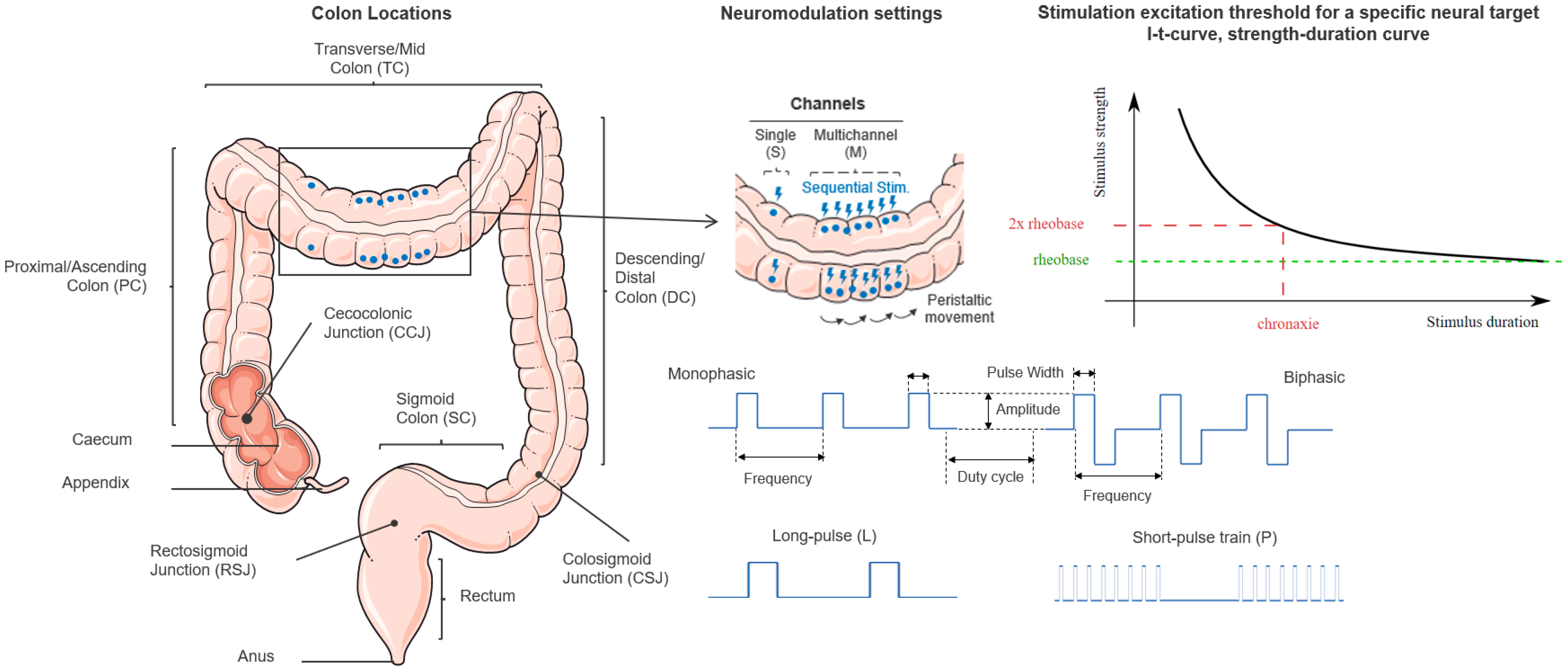 Biomedicines 12 00481 g001