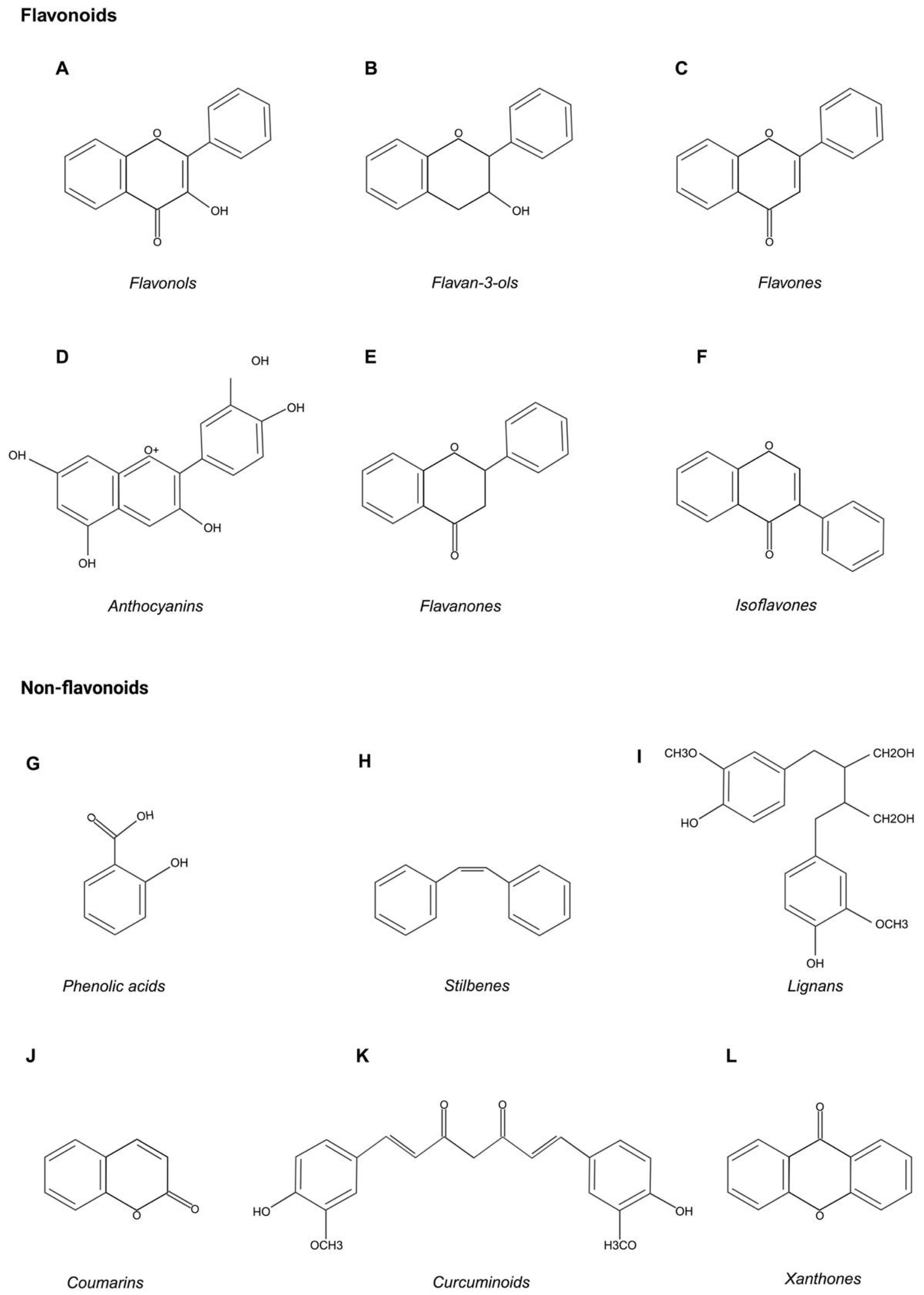 Biomedicines 12 00482 g001 Biomedicines 12 00482 g001