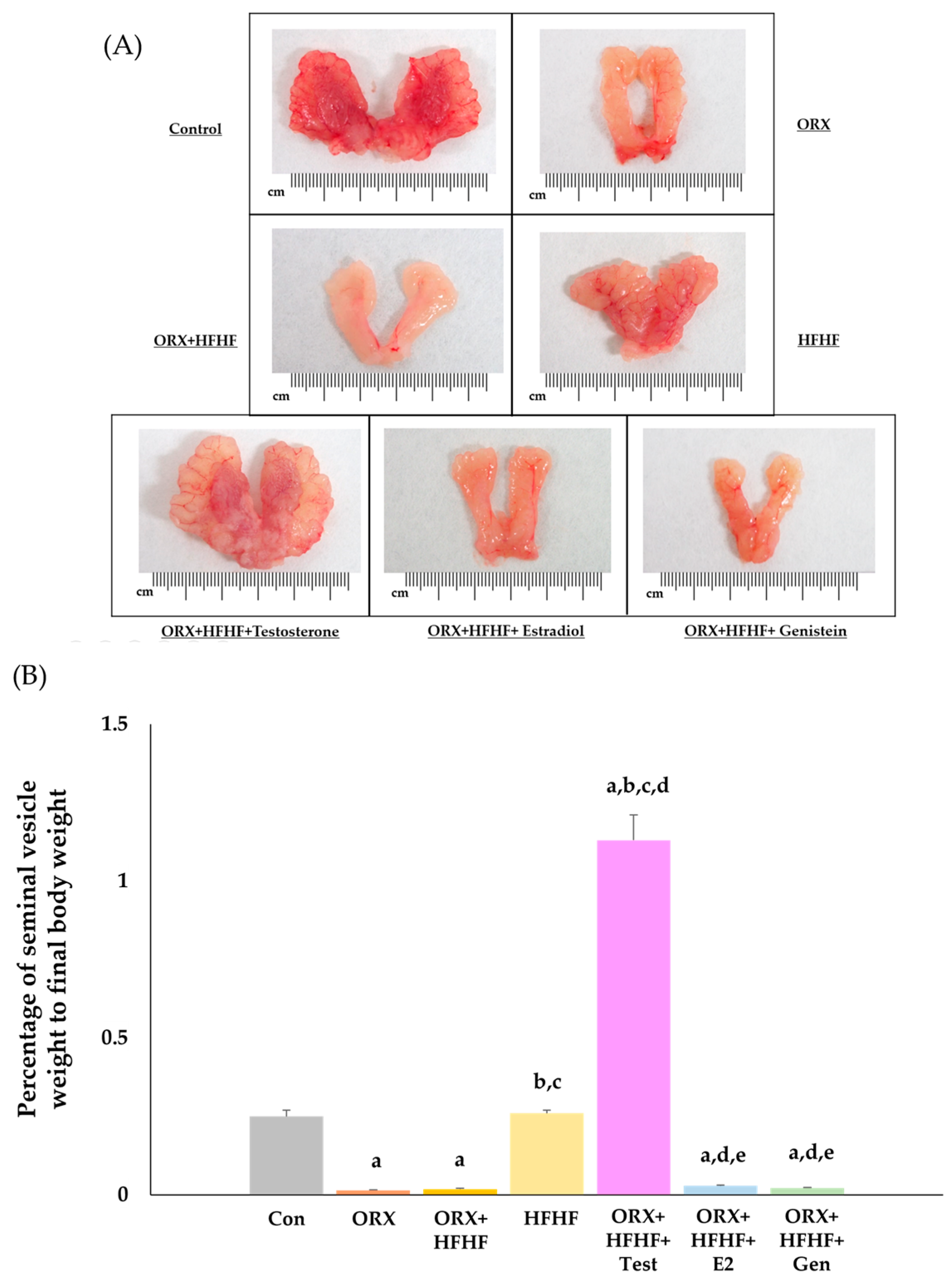 Biomedicines 12 00483 g002