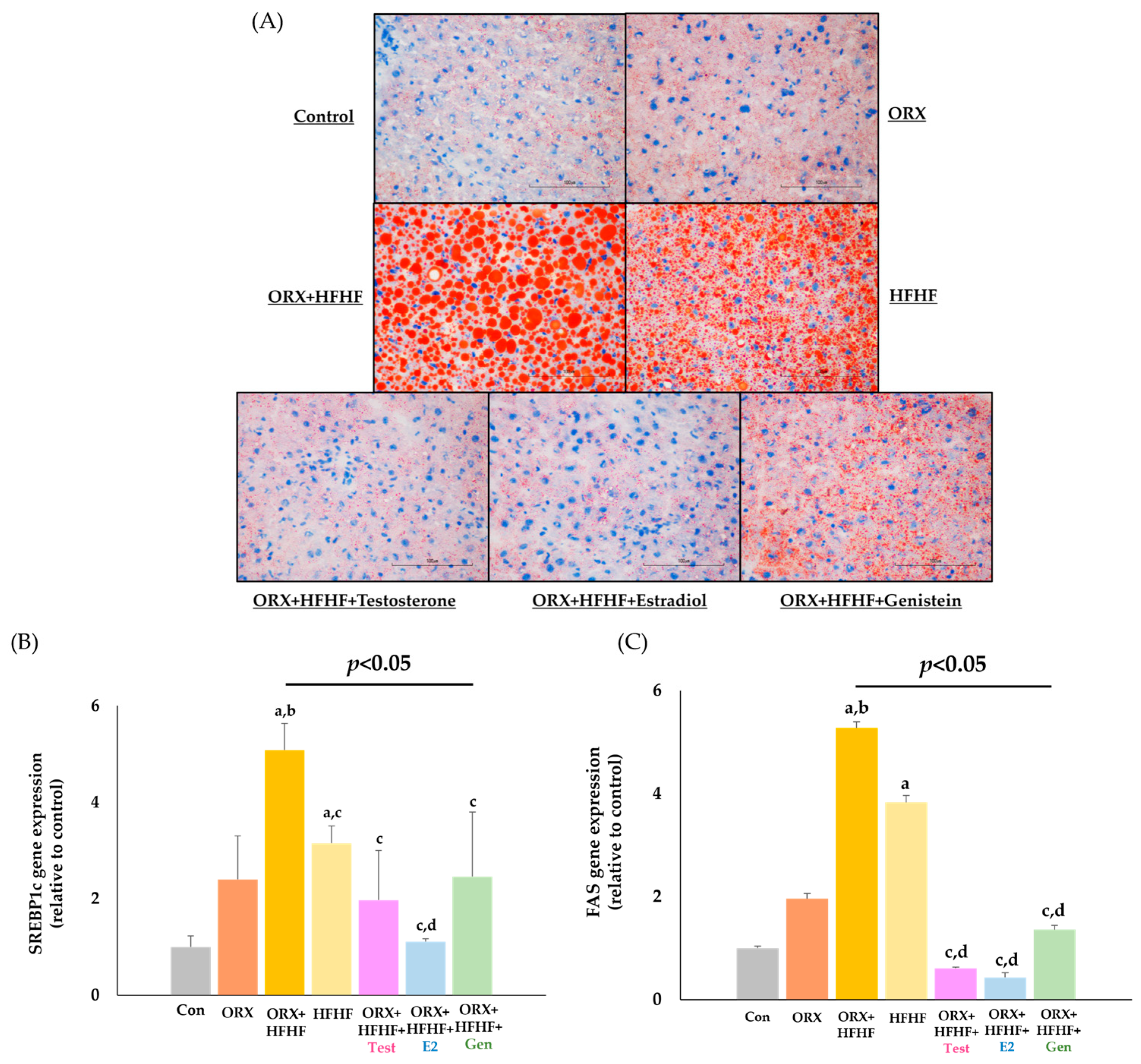 Biomedicines 12 00483 g005
