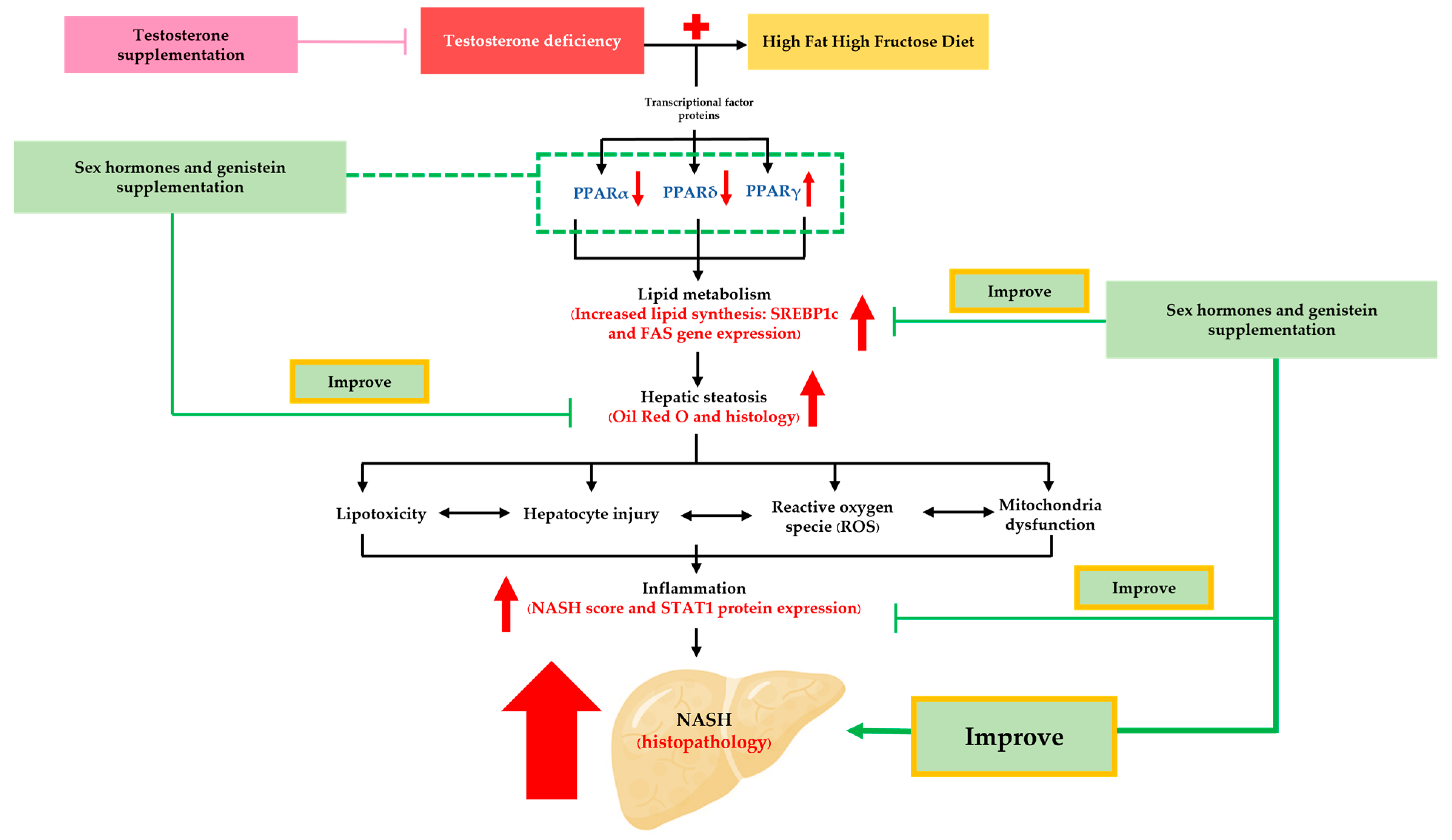 Biomedicines 12 00483 g008