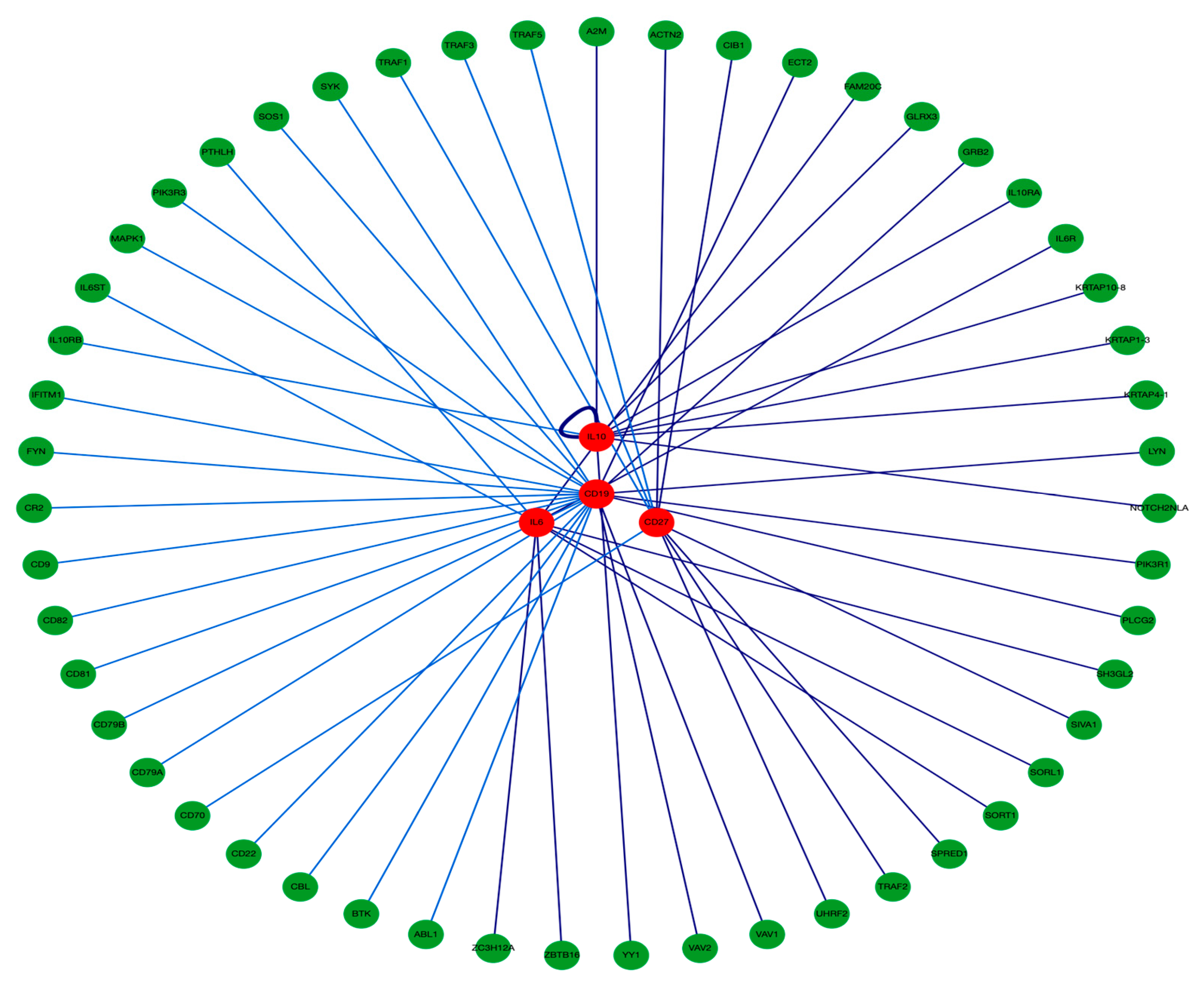 Biomedicines 12 00485 g004