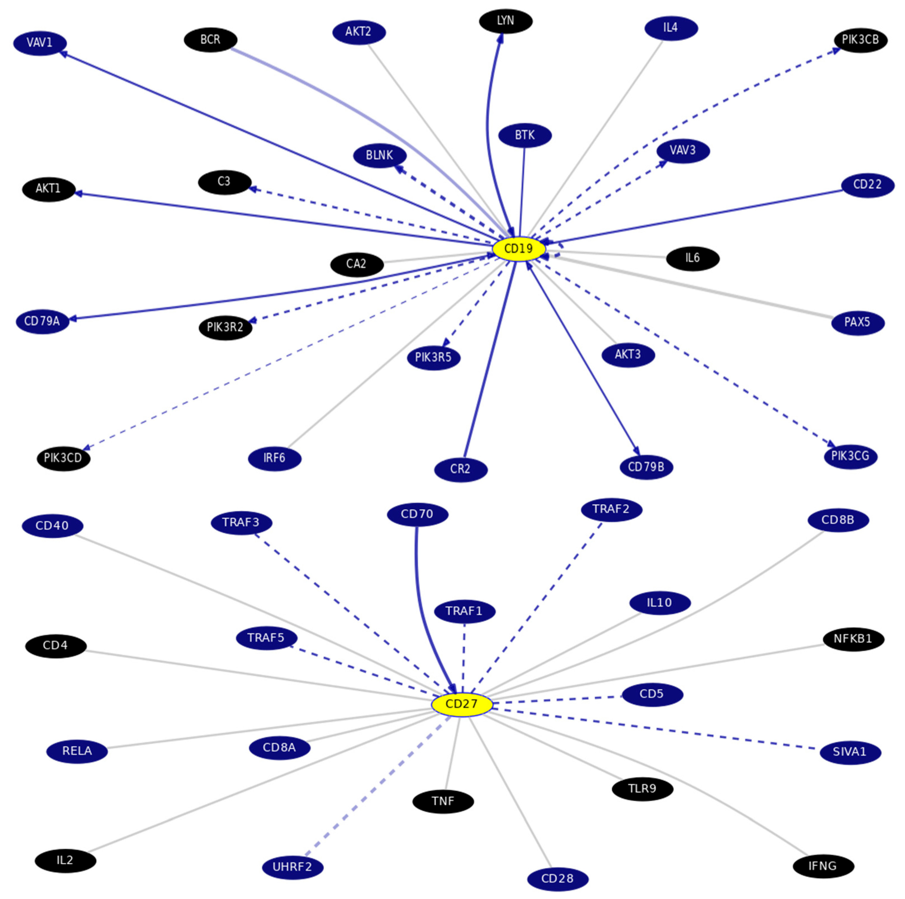 Biomedicines 12 00485 g005