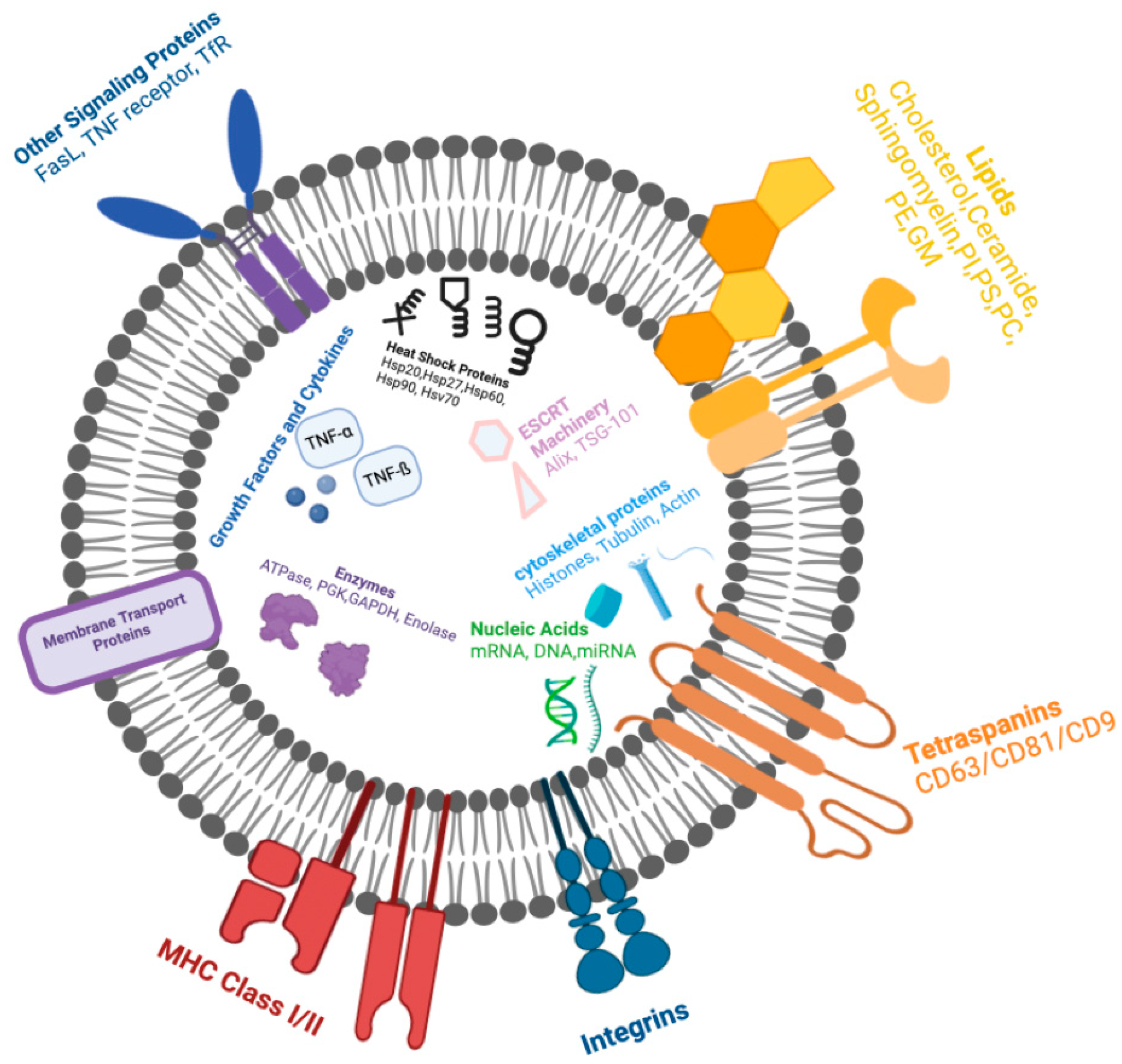Biomedicines 12 00489 g003 Biomedicines 12 00489 g003