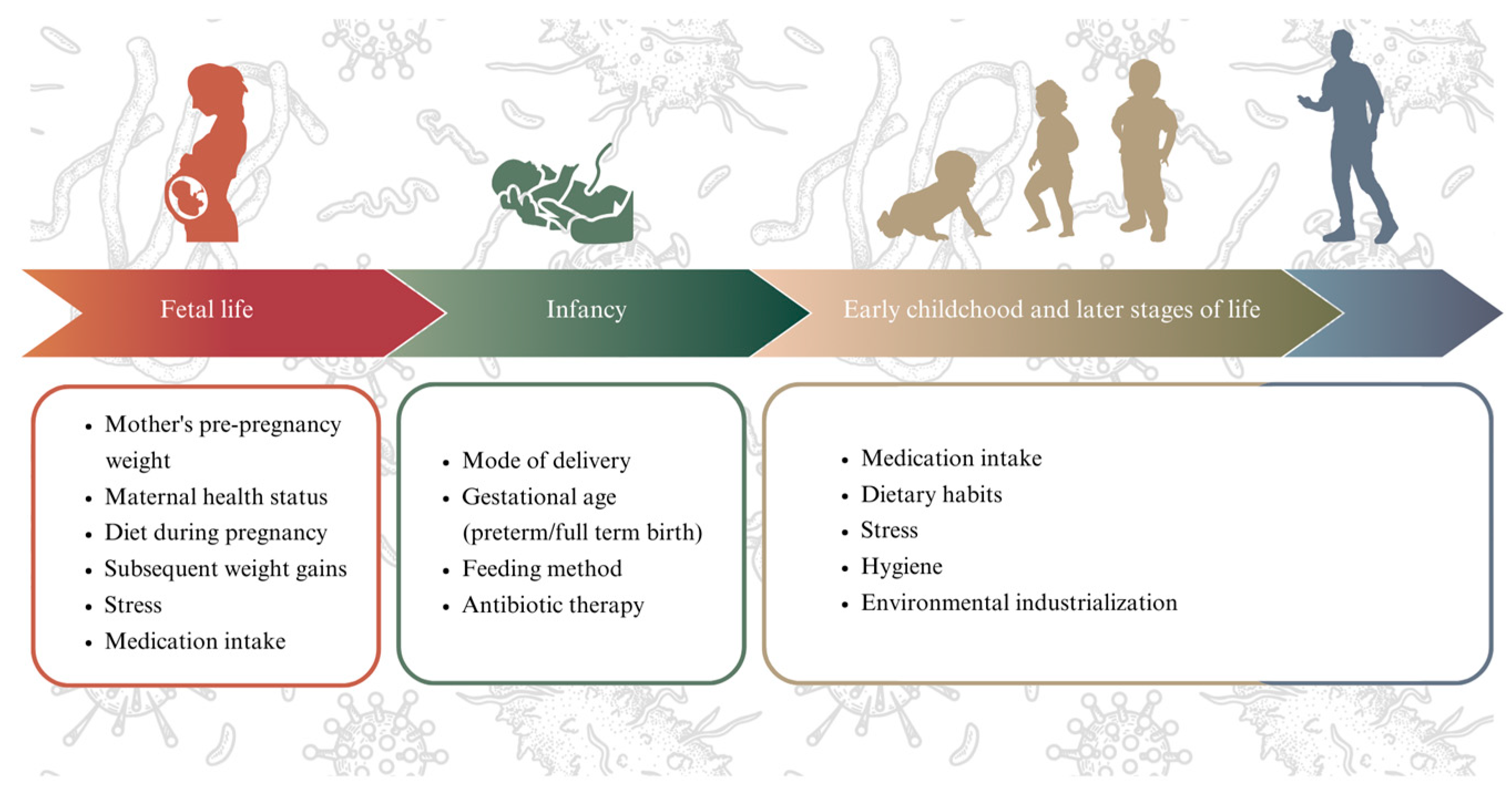 Biomedicines 12 00490 g001 Biomedicines 12 00490 g001