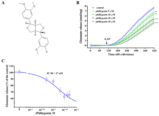Phillygenin Suppresses Glutamate Exocytosis in Rat