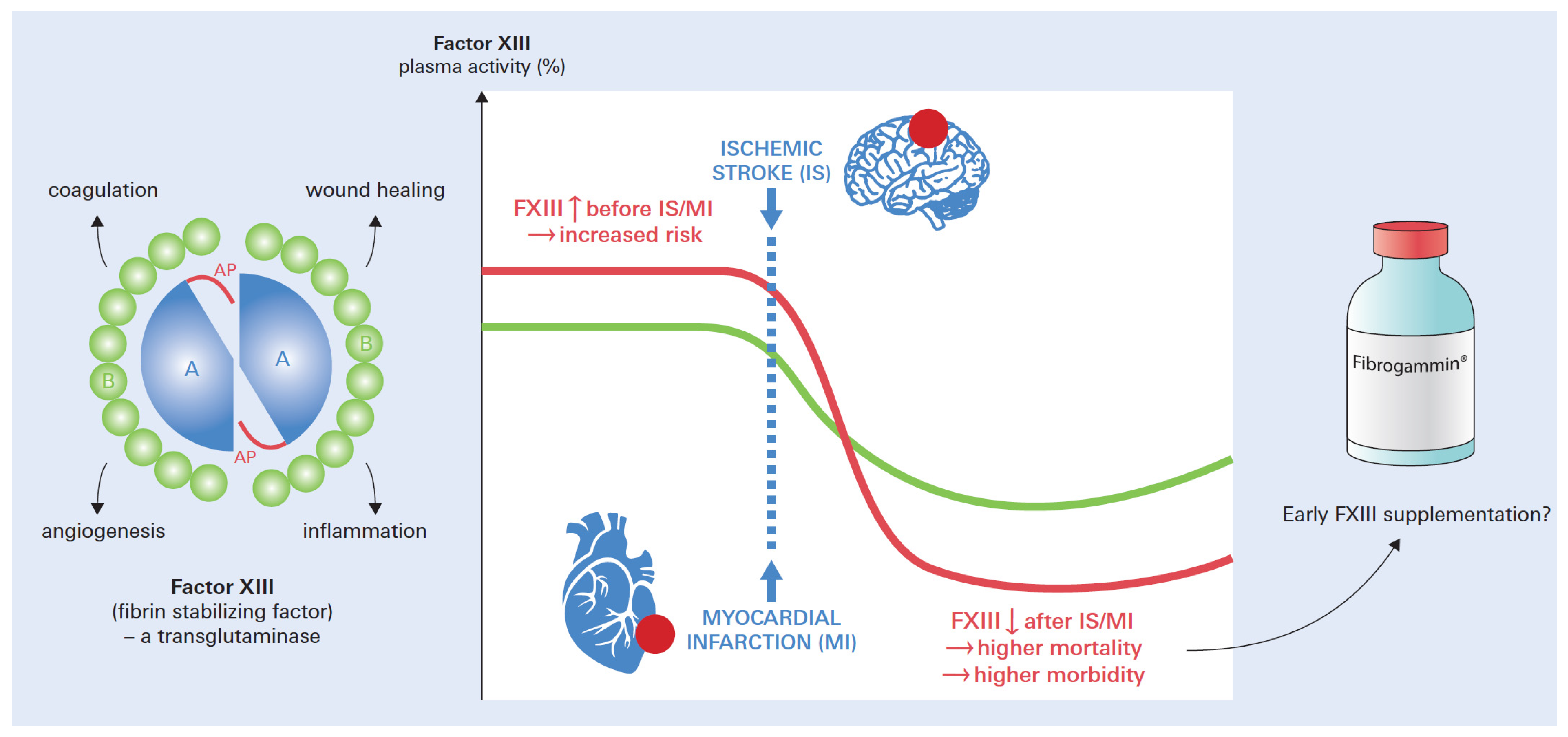 Biomedicines 12 00497 g001 Biomedicines 12 00497 g001
