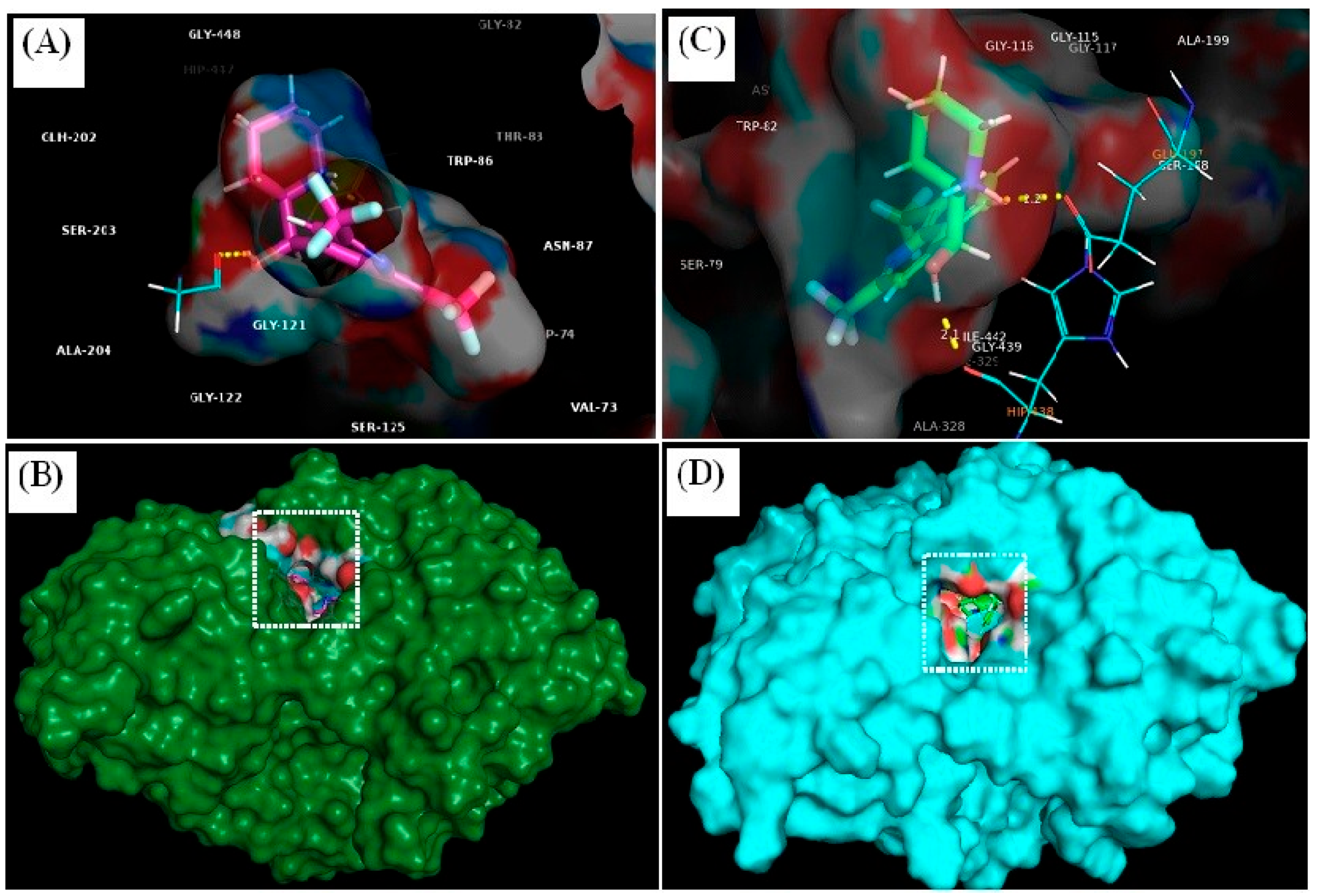 Biomedicines 12 00505 g008 Biomedicines 12 00505 g008