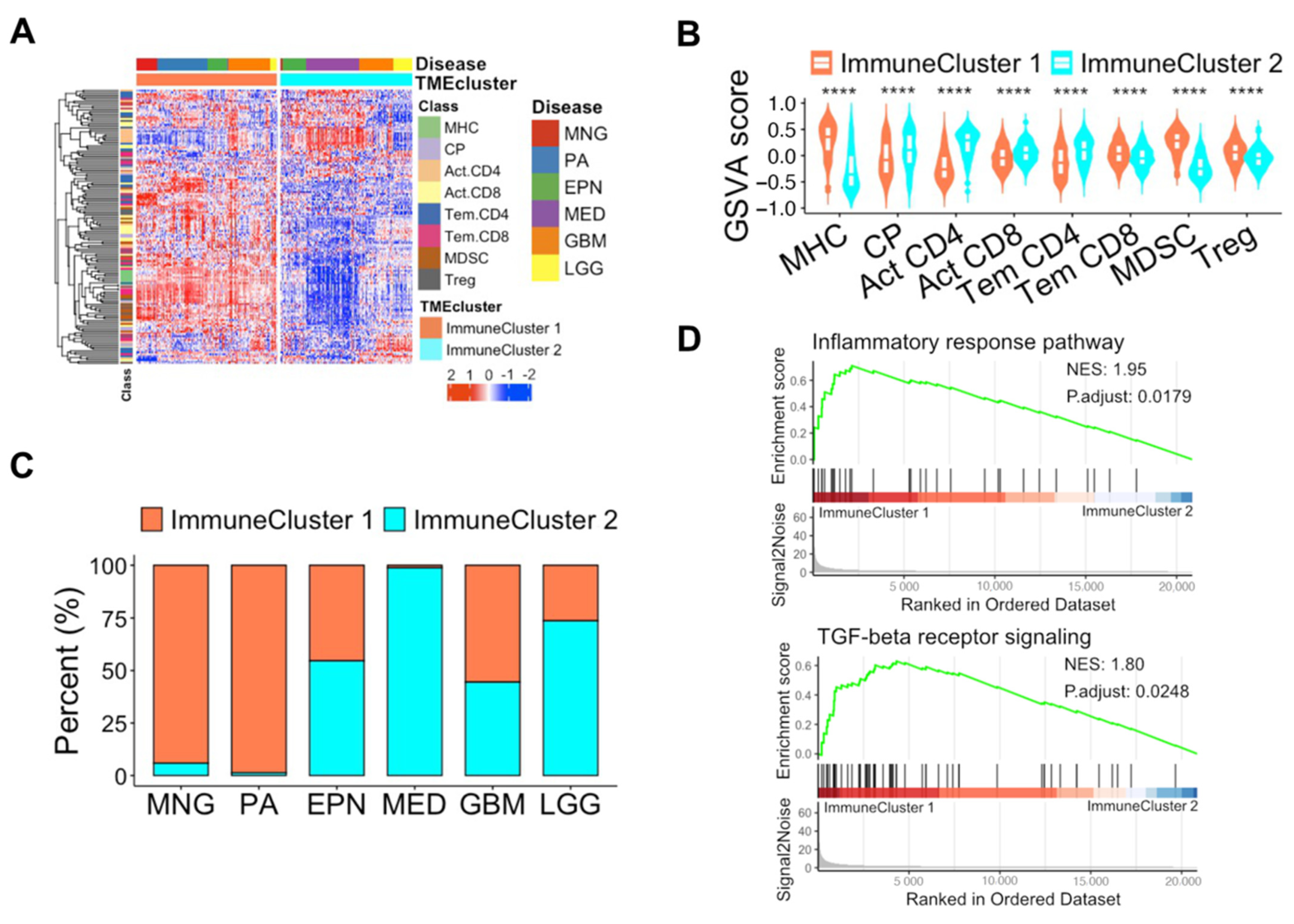 Biomedicines 12 00506 g003