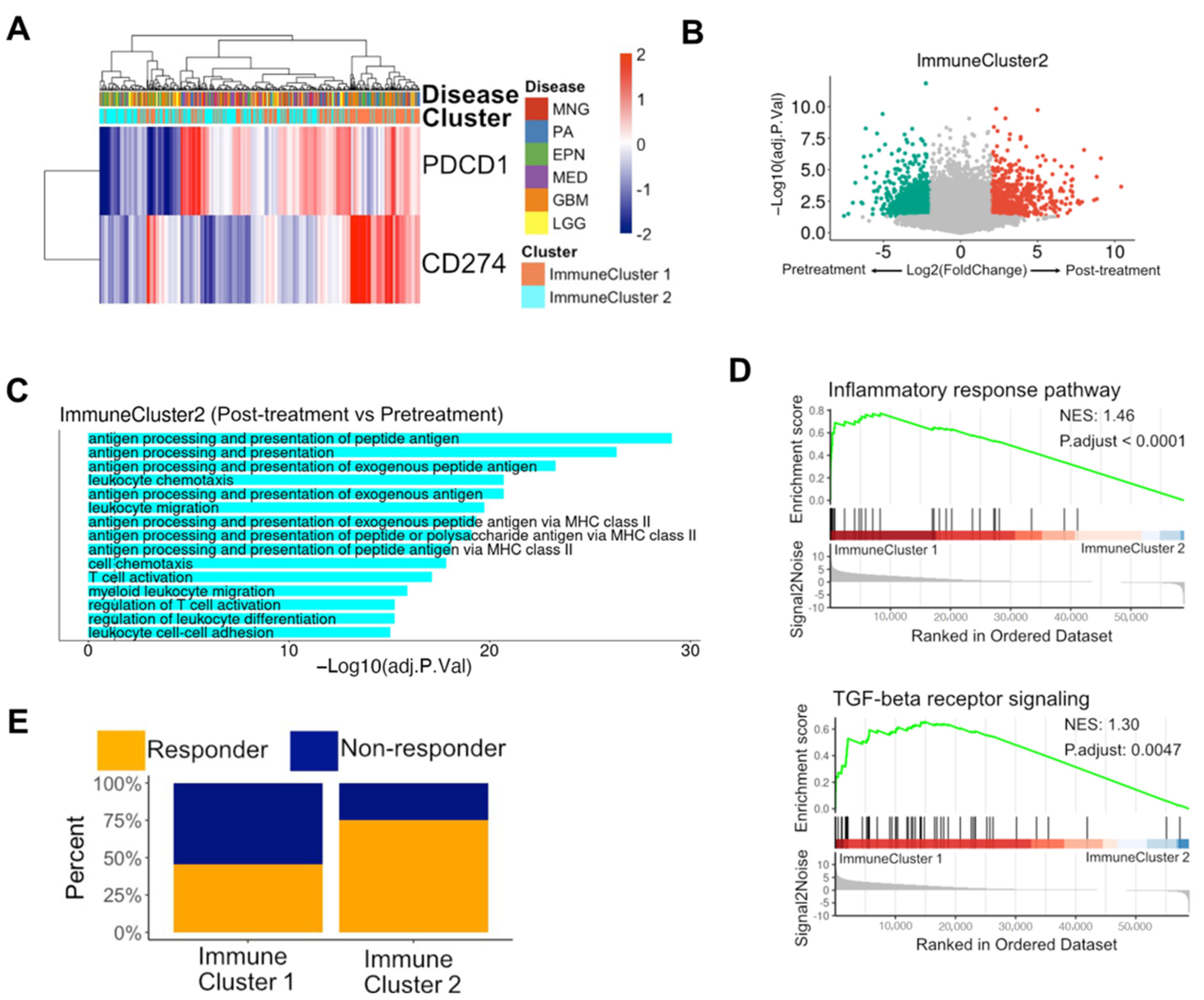 Biomedicines 12 00506 g004