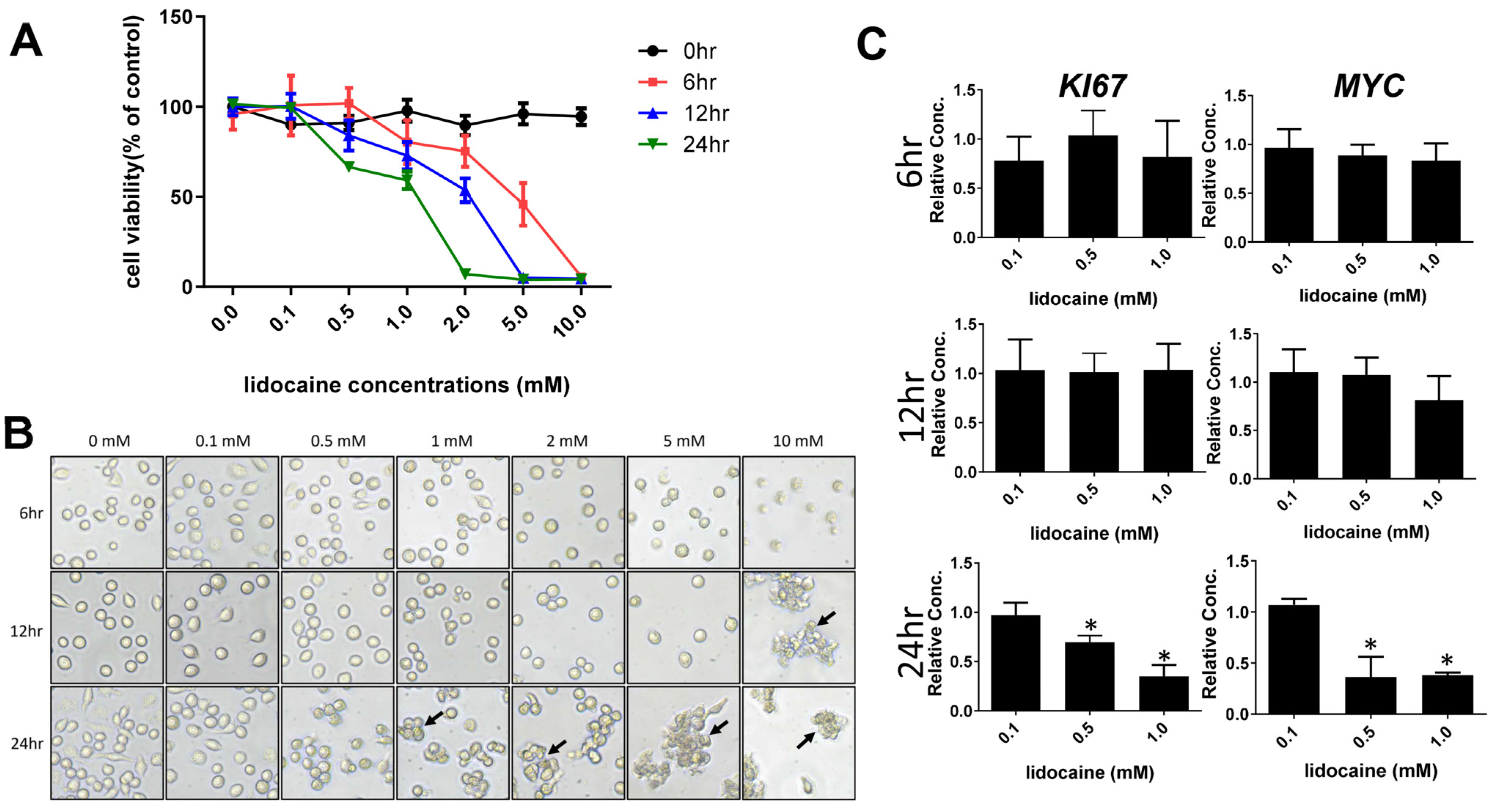 Biomedicines 12 00509 g001