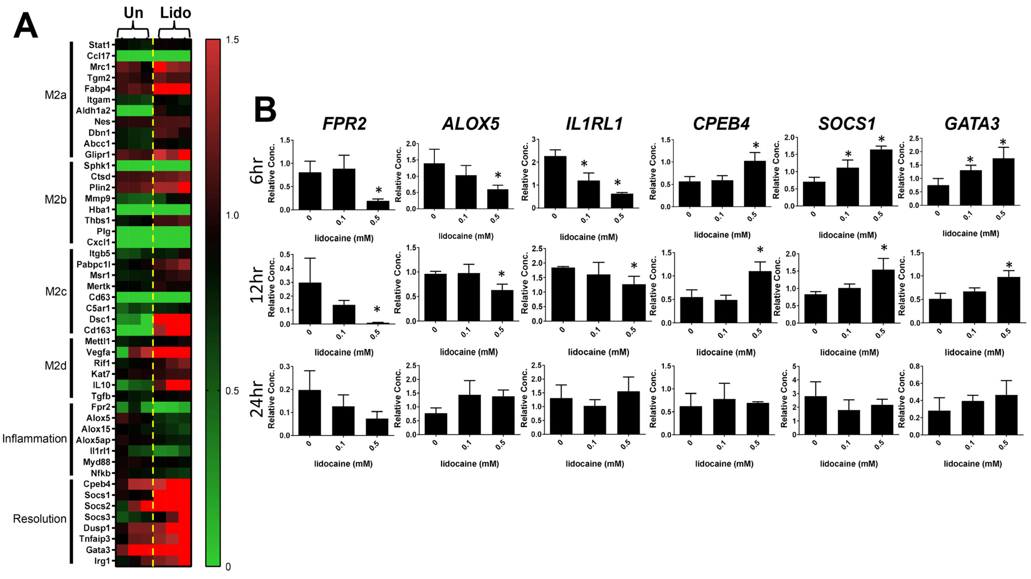 Biomedicines 12 00509 g003