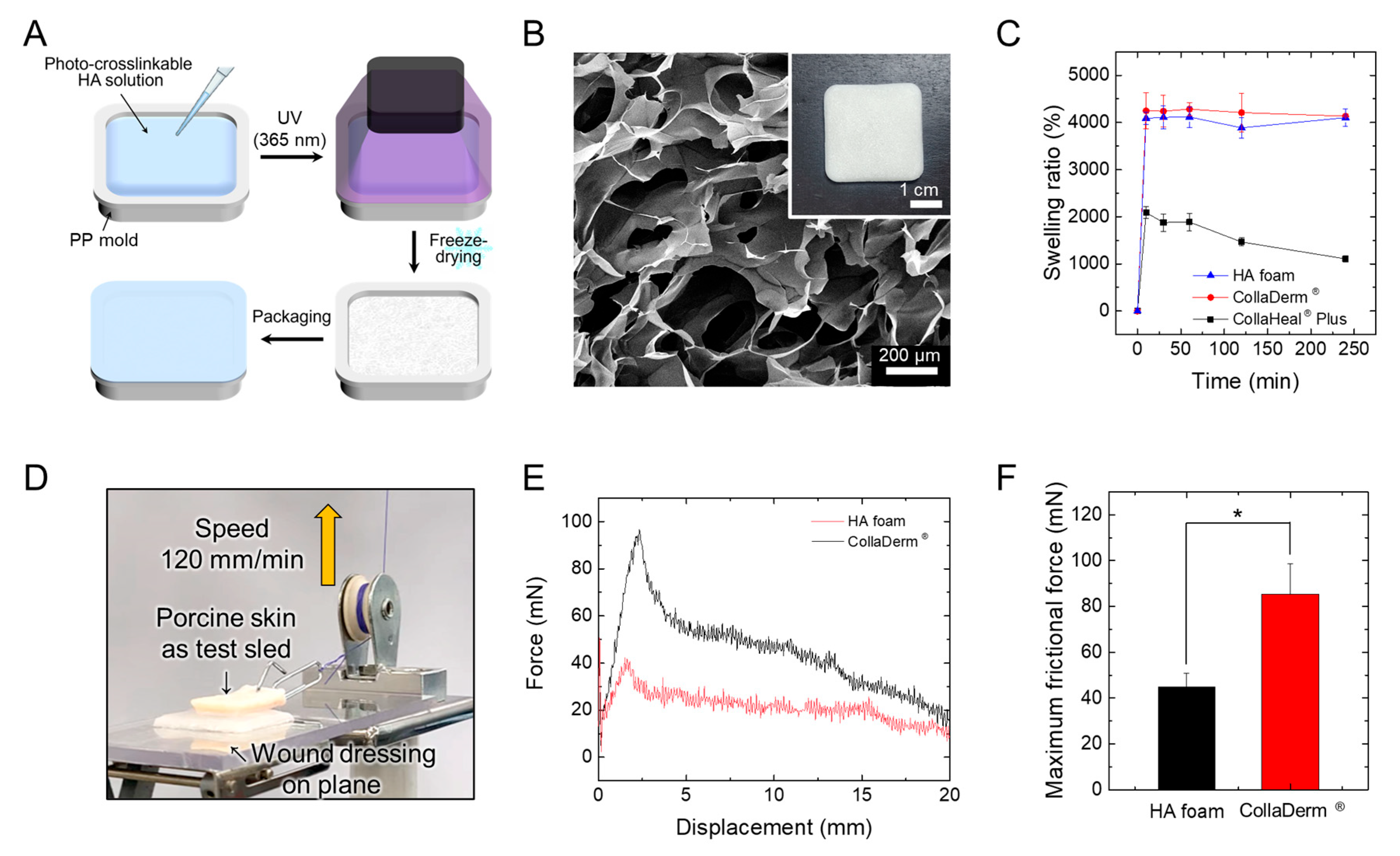 Biomedicines 12 00510 g002
